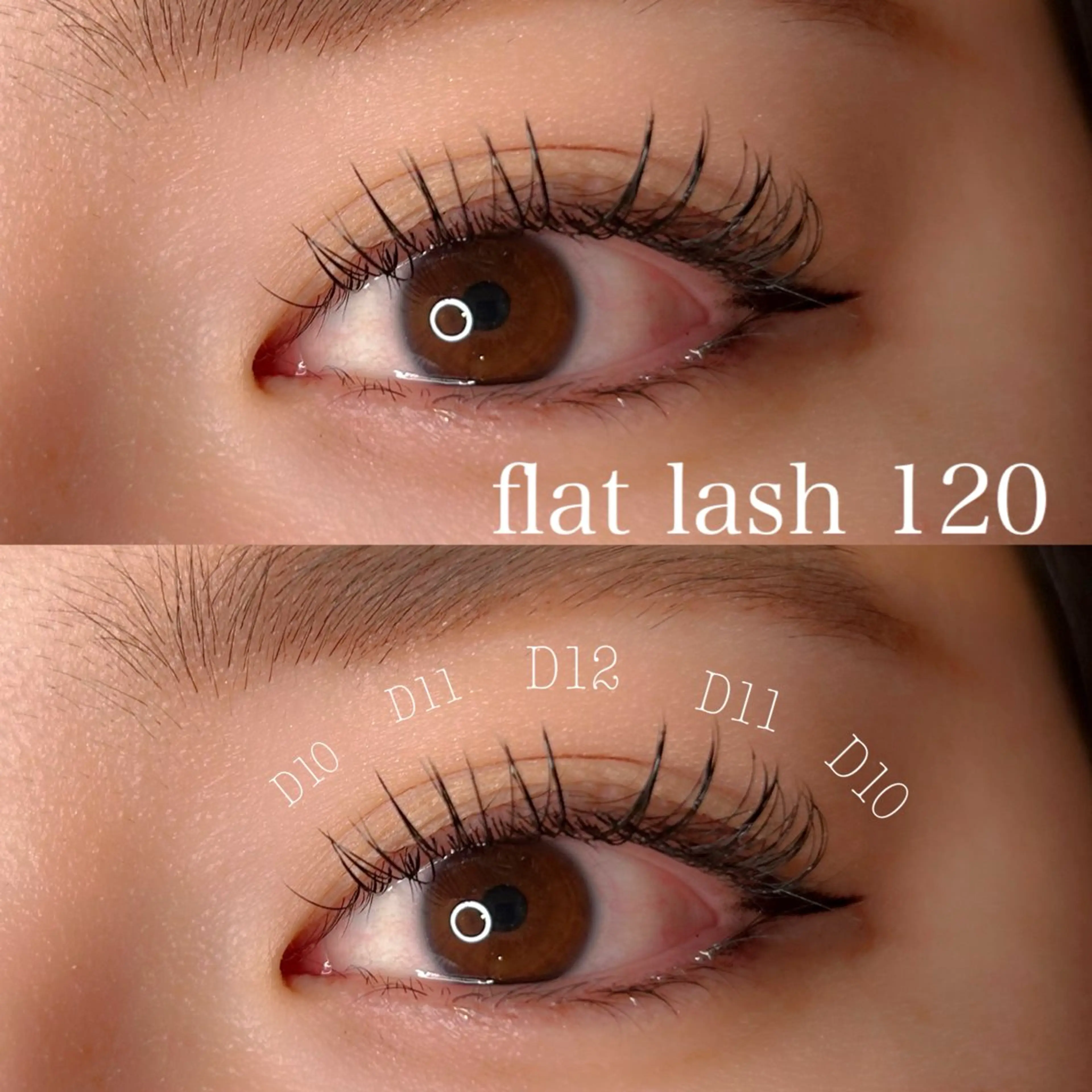 マツエク・マツパ マツエク elua eyelashの眉毛・アイブロウイメージ