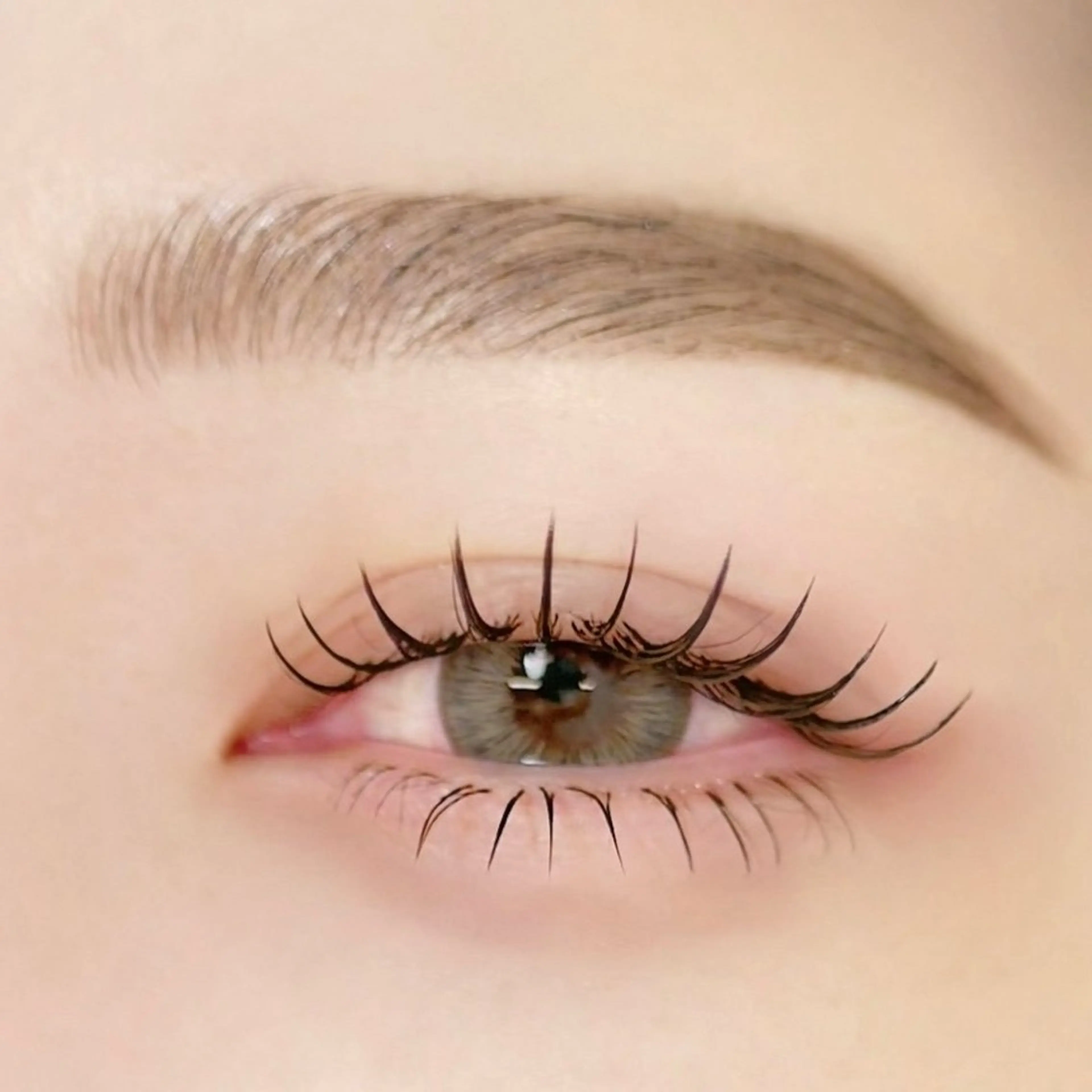 🪞フラットラッシュ100本🪞(90分)【通常グルーでのお取り付け】の写真