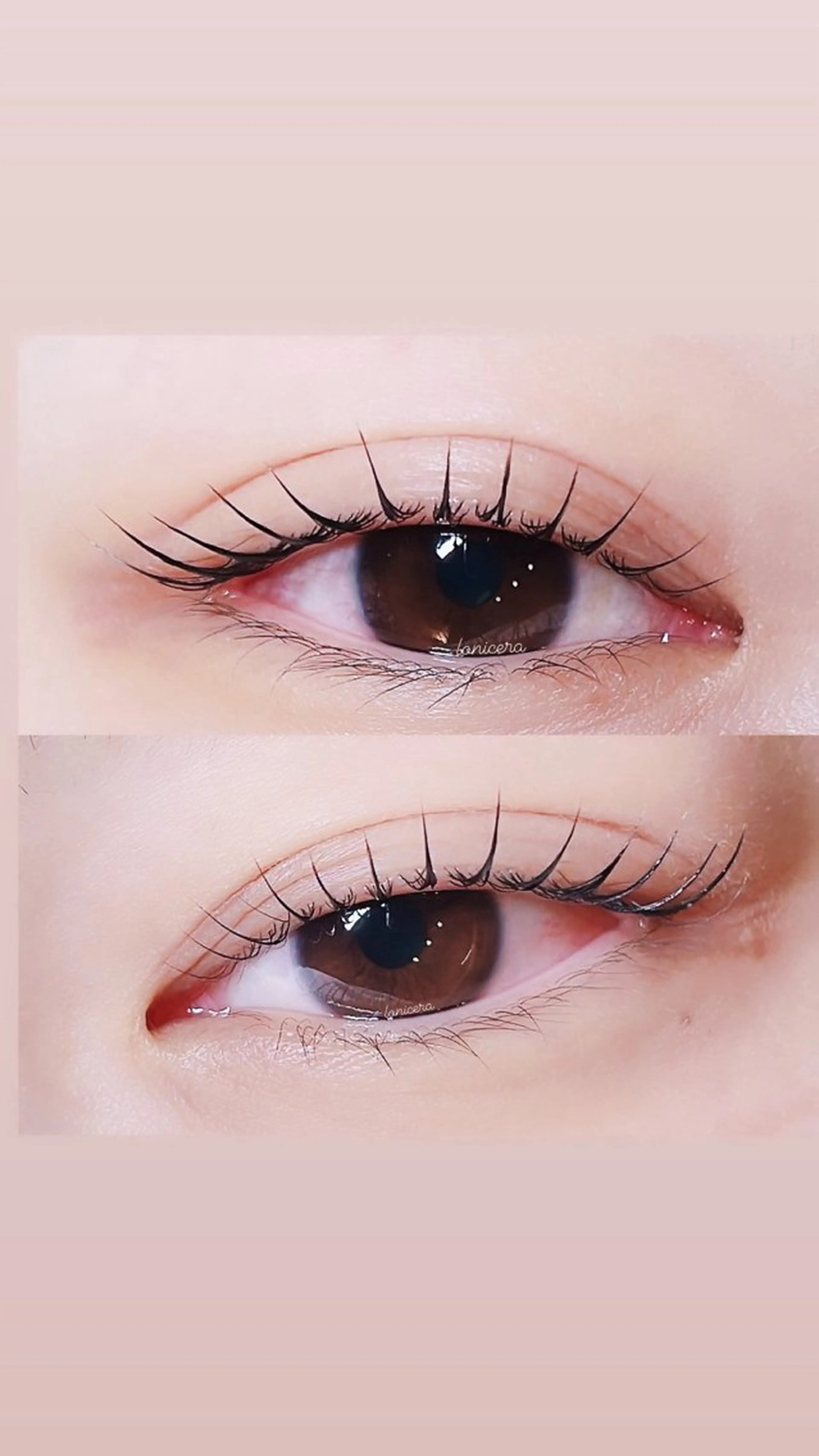 マツエク・マツパ 束感まつ毛 韓国風マツエク 一重×まつ毛パーマ ロニセラ アイラッシュのマツエク・マツパデザイン