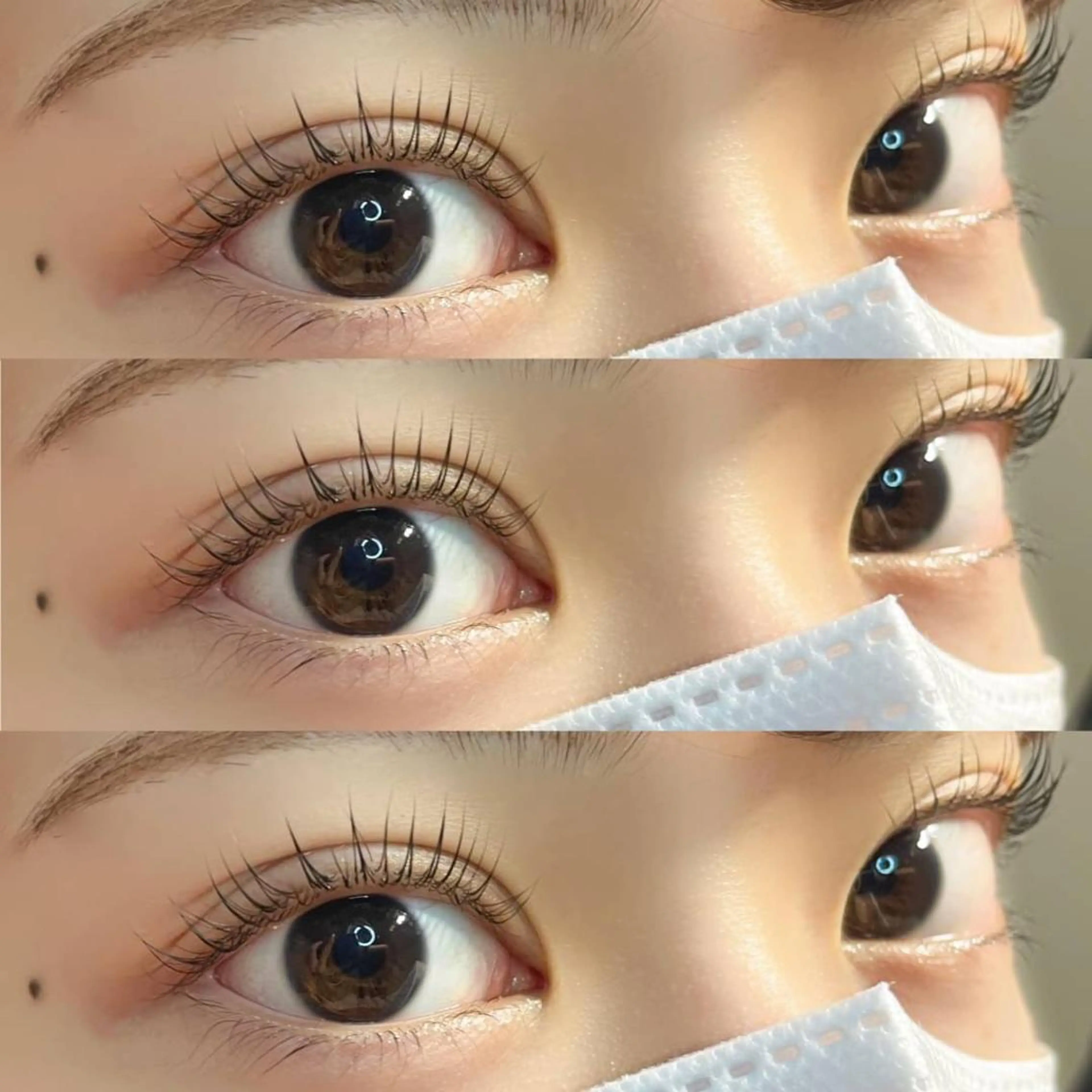 パリジェンヌラッシュリフト✨コーティング込み🫶🏻の写真