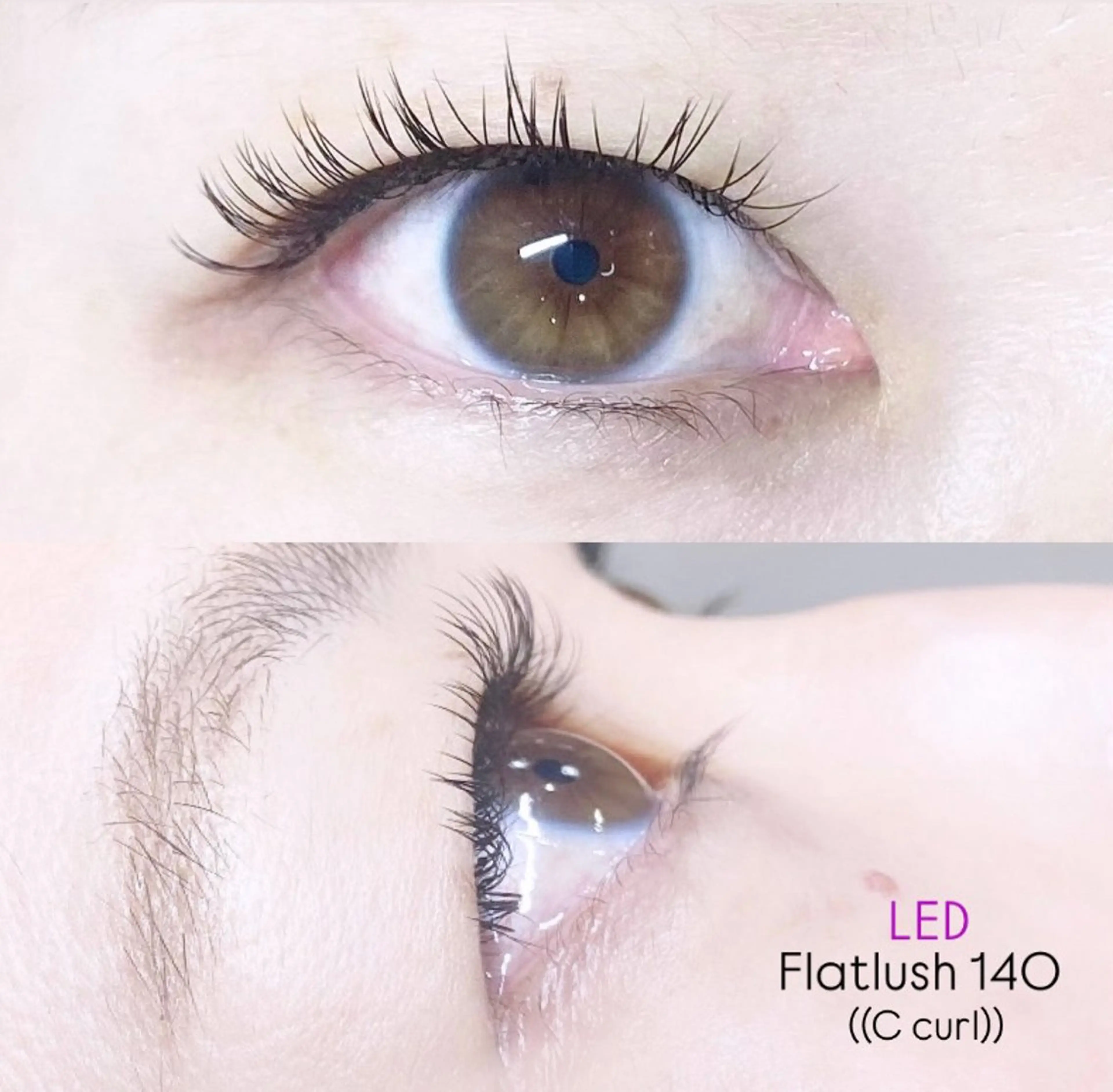 マツエク・マツパ LEDエクステ専門店 Fedis 京橋のマツエク・マツパデザイン