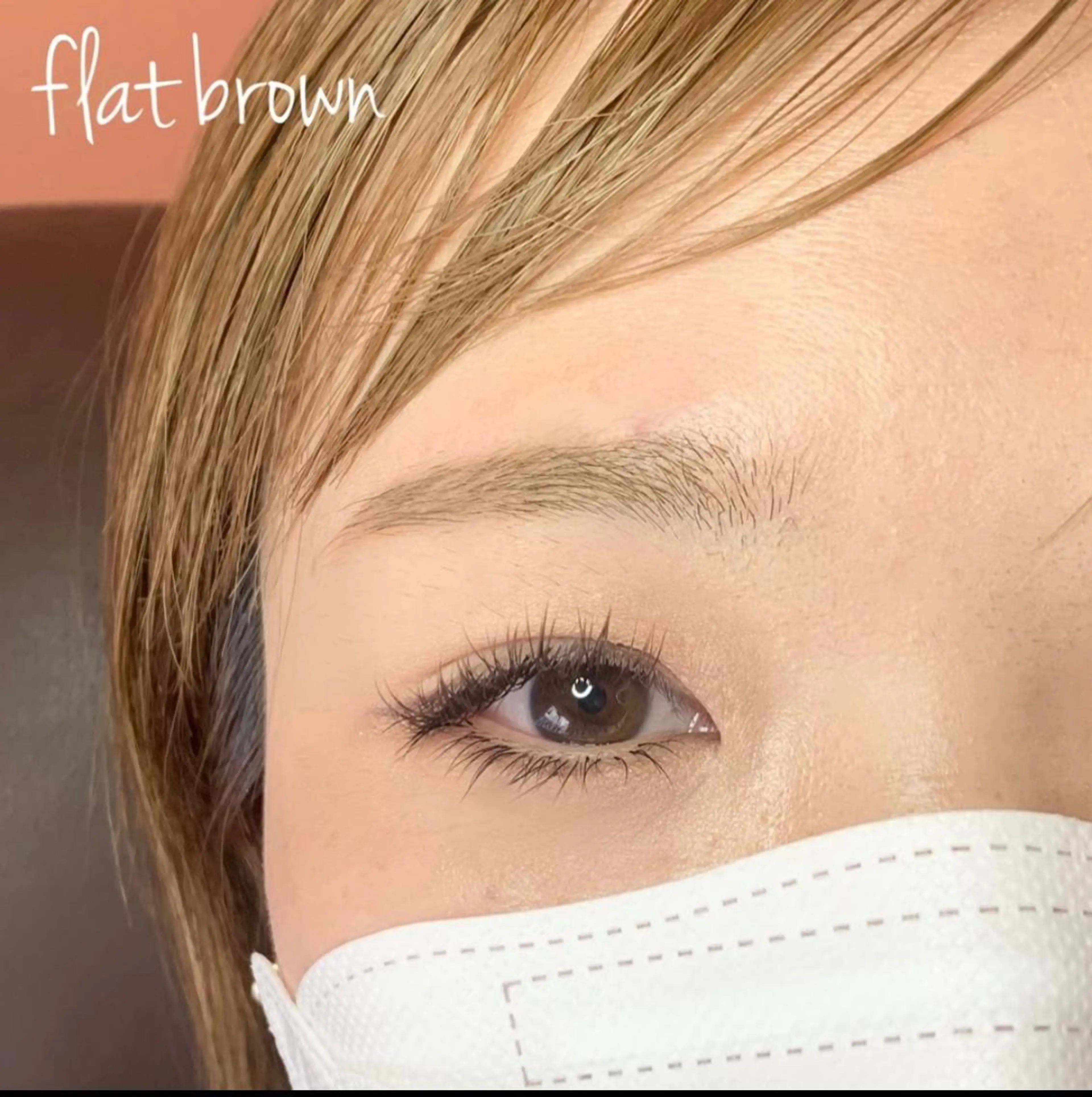 フラットラッシュ上下付け放題＋✳︎アイSP＋育毛trt＋ヒアルロン酸入りコーティング剤付き✳︎の写真