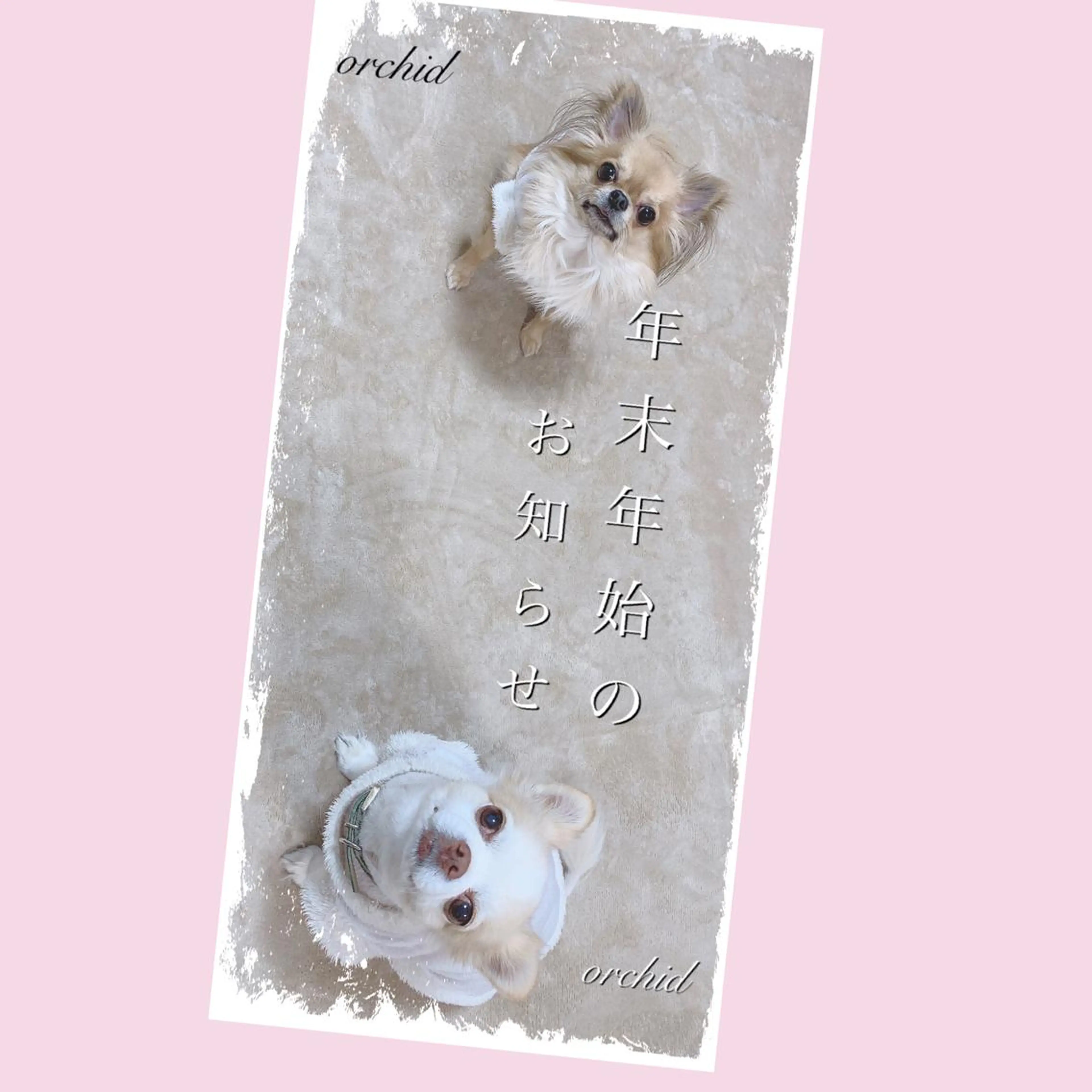 ネイル orchid ♡オーキッドのネイルデザイン