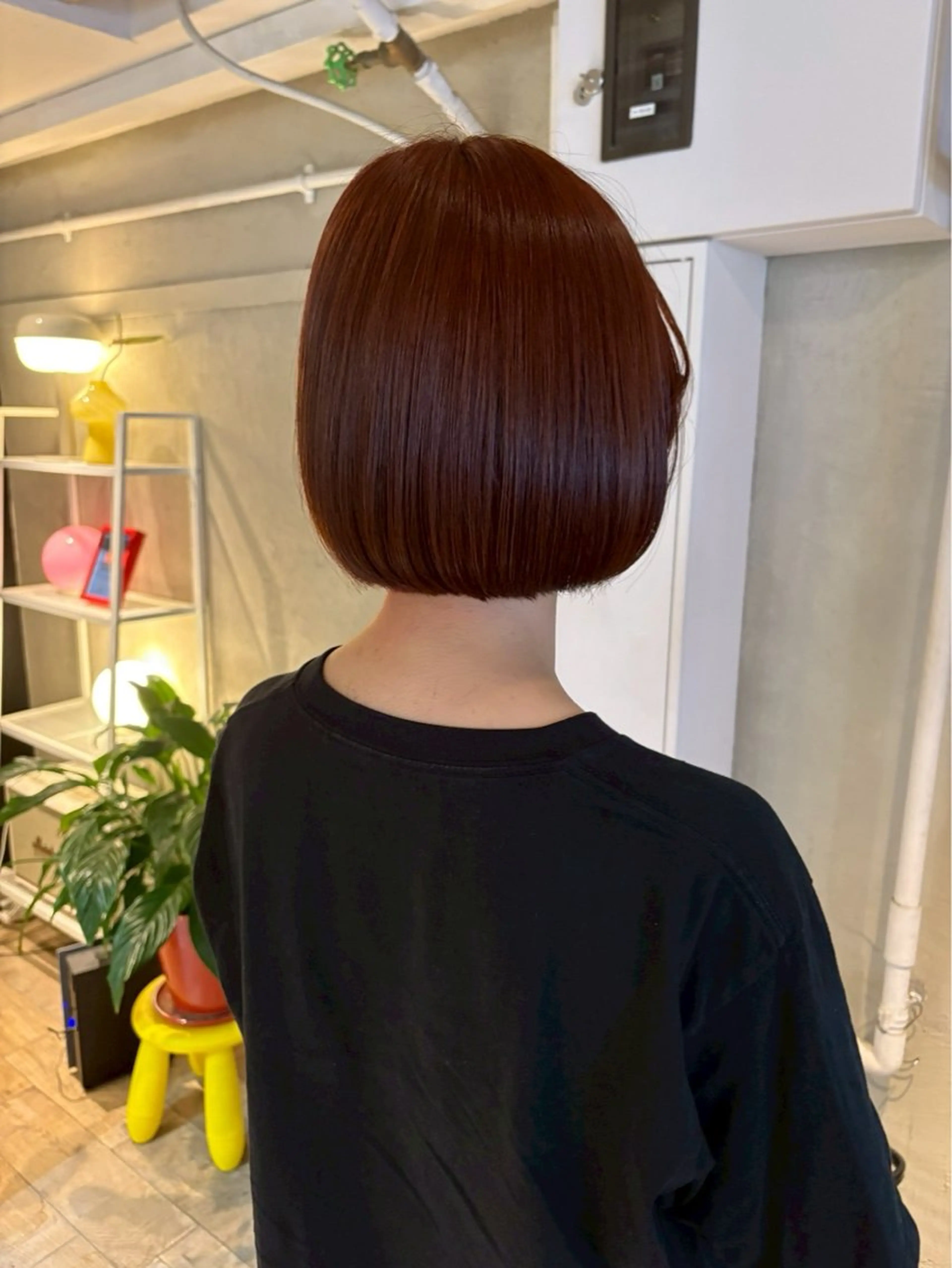 ショート カラー ヘアカラー トリートメント 🕊️🌿 ひよりのヘアスタイル