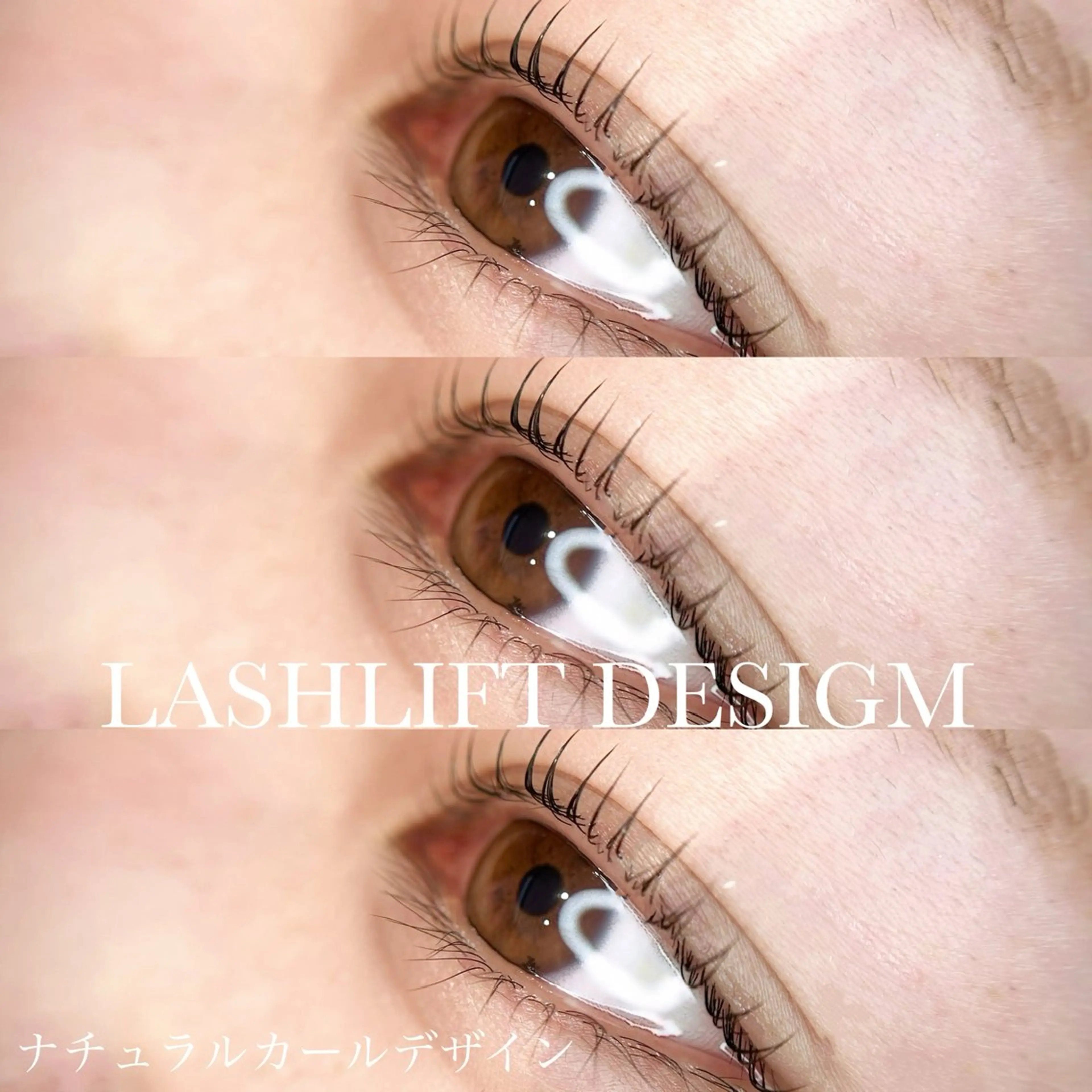 🫧まつ毛パーマ お仕上げコーティング付き🫧の写真