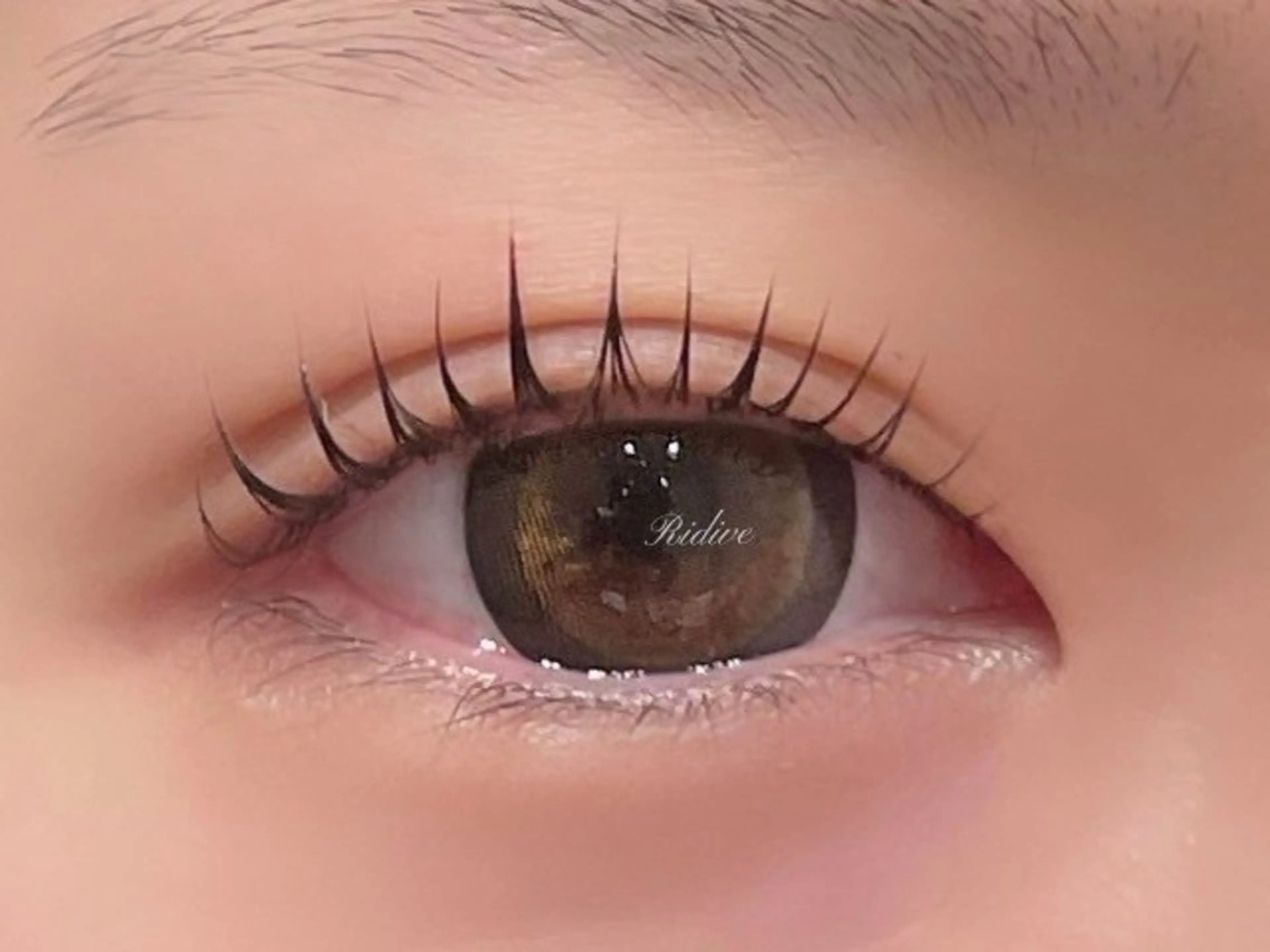 🎀選べるまつげパーマorパリジェンヌ🎀トリートメント付【平日11時​〜​16時の方限定】の写真