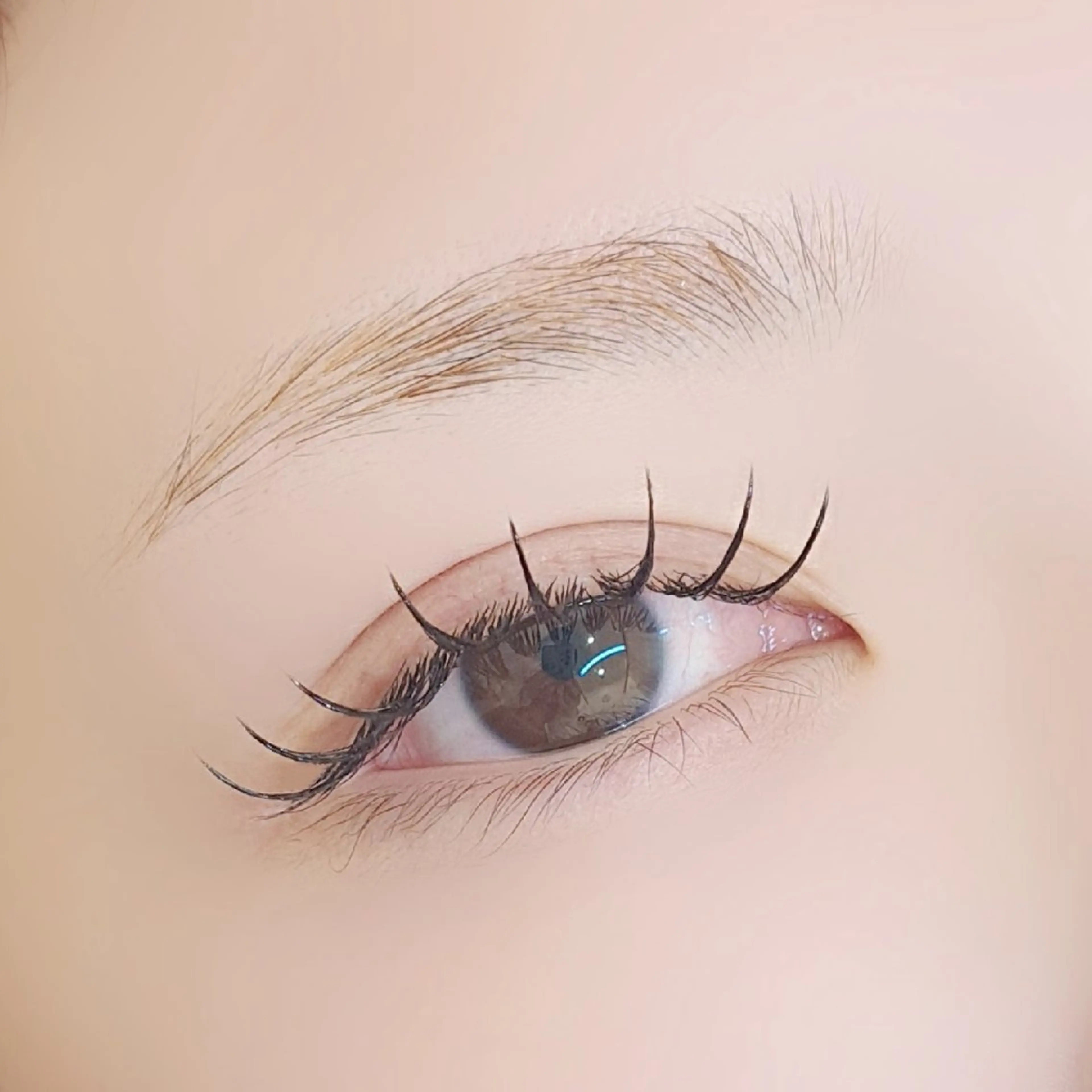 🕊️LED︎🕊️フラットラッシュ ▹▸ 80本 〖オフ込み〗の写真