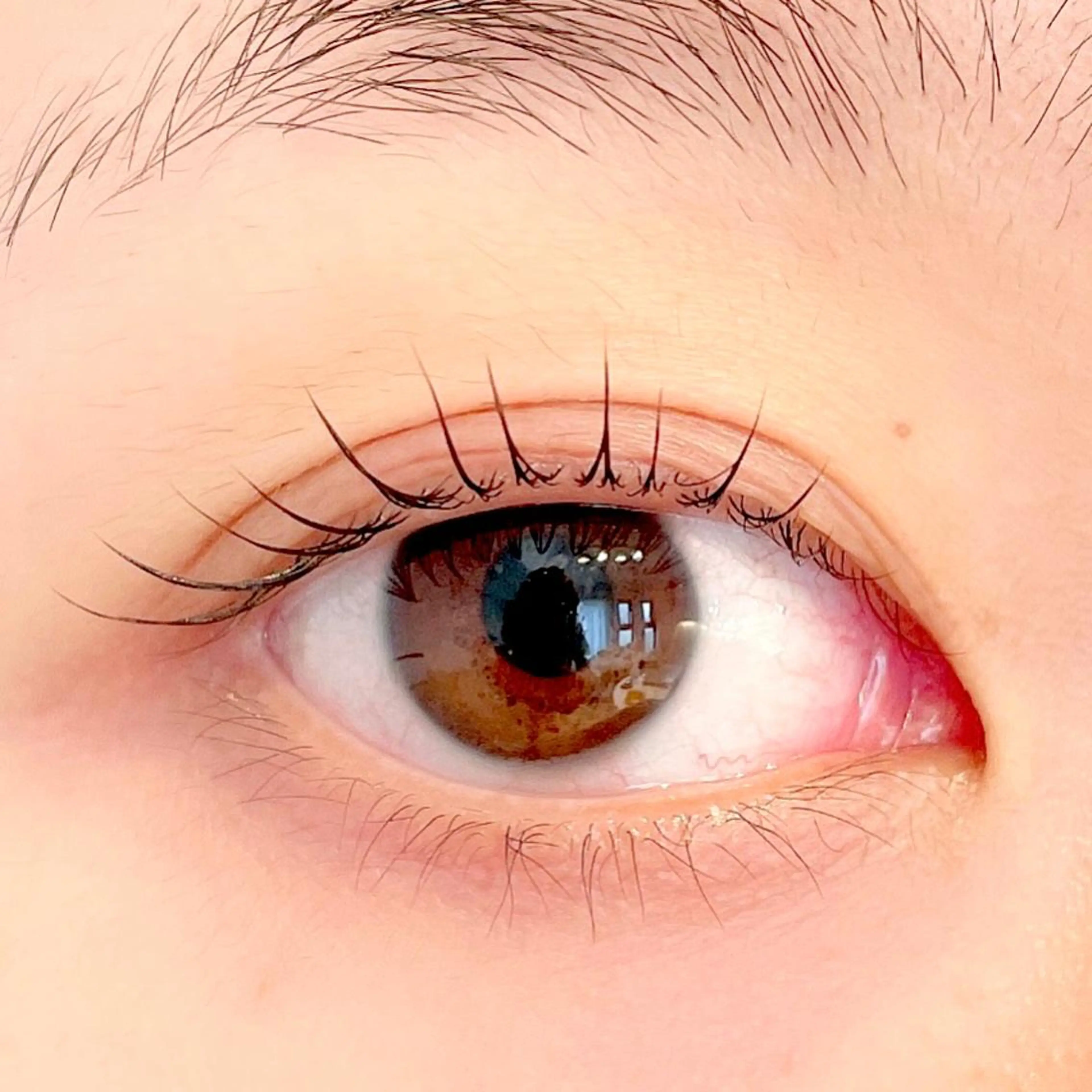 マツエク・マツパ ant_u🌷 arisaのマツエク・マツパデザイン