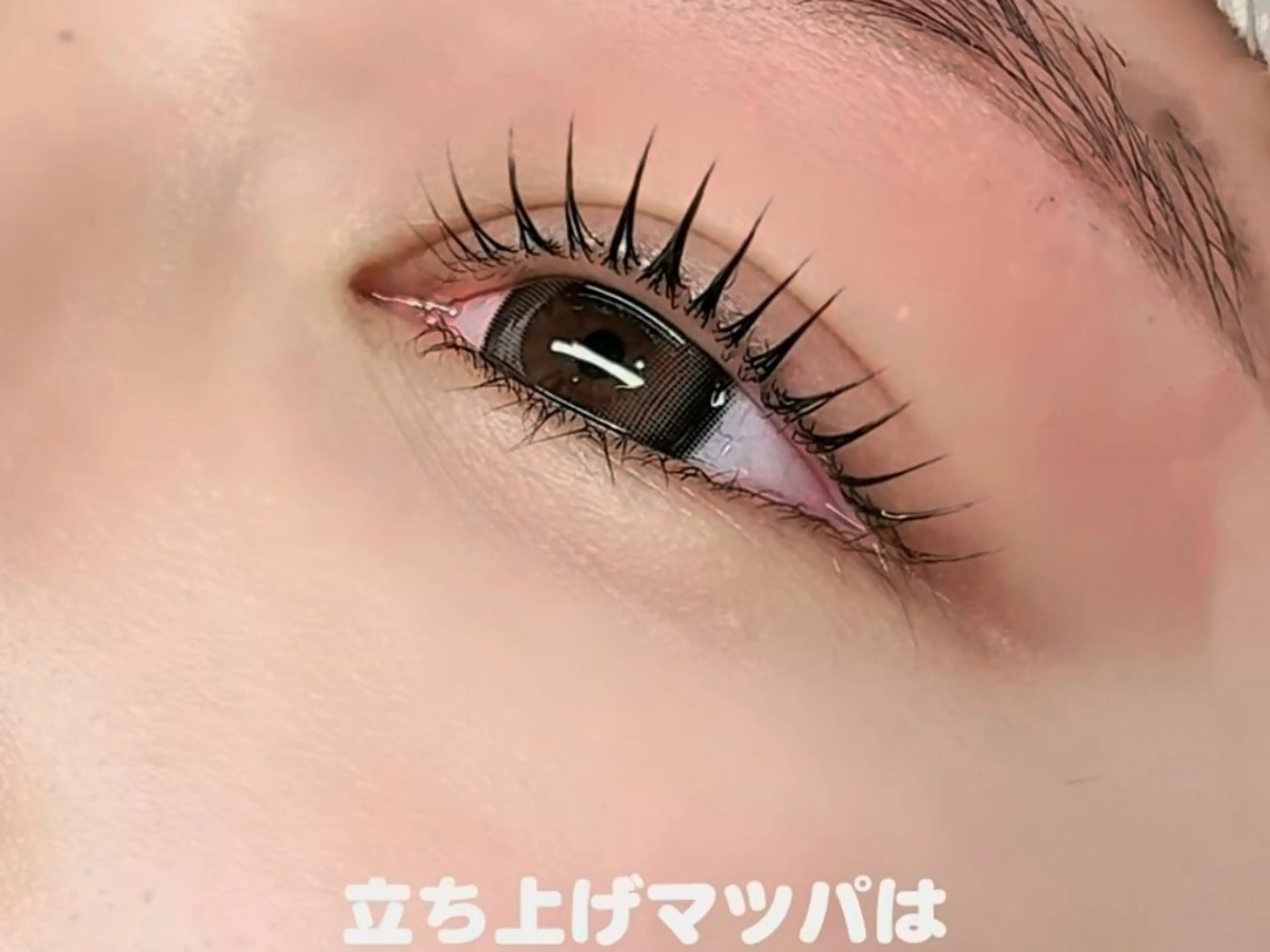 マツエク・マツパ マツエク Max eyelash池袋のマツエク・マツパデザイン