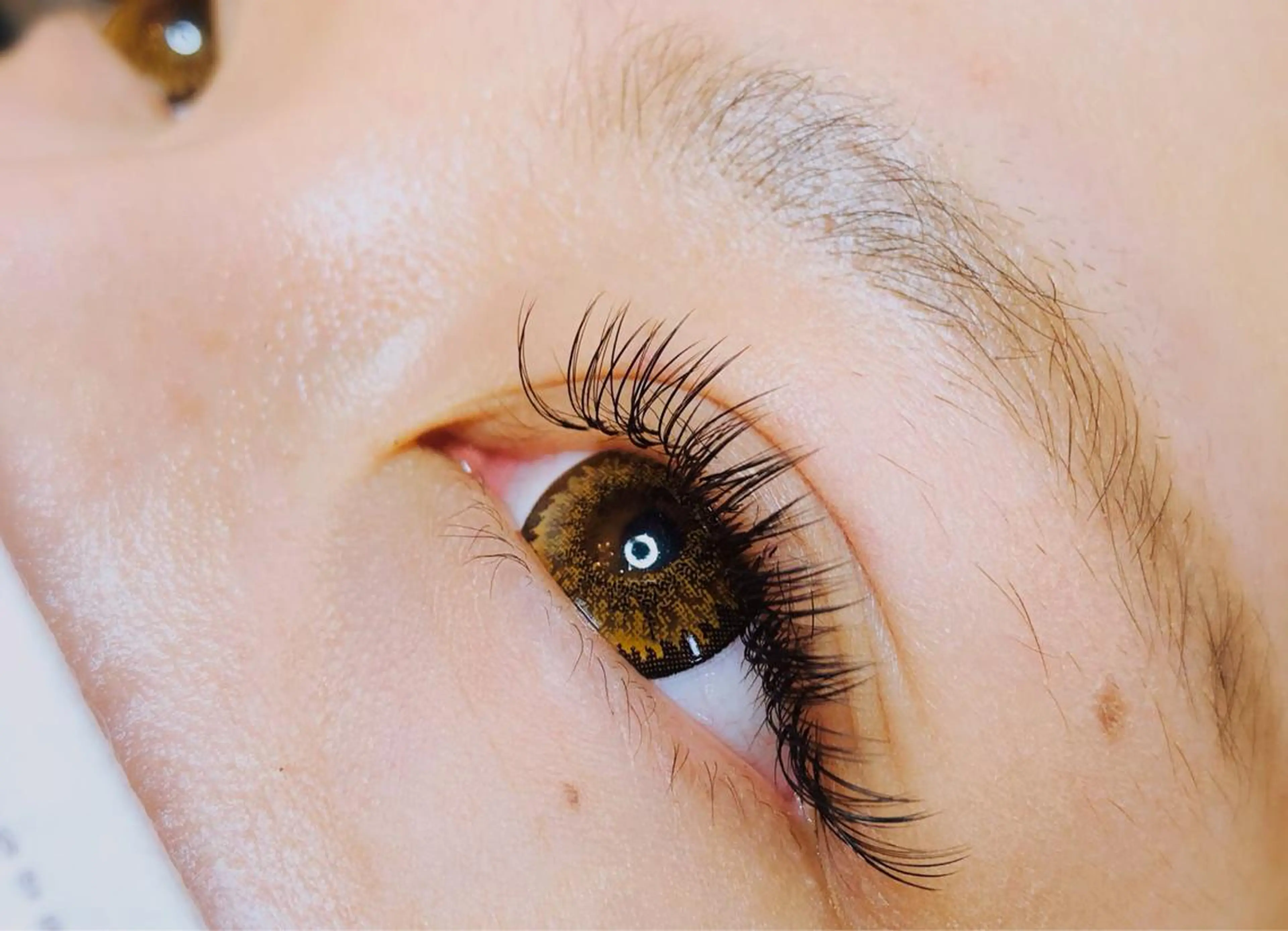 Newメニュー🤍モチ&ボリューム圧倒的No.1💓バインドロック80束の写真