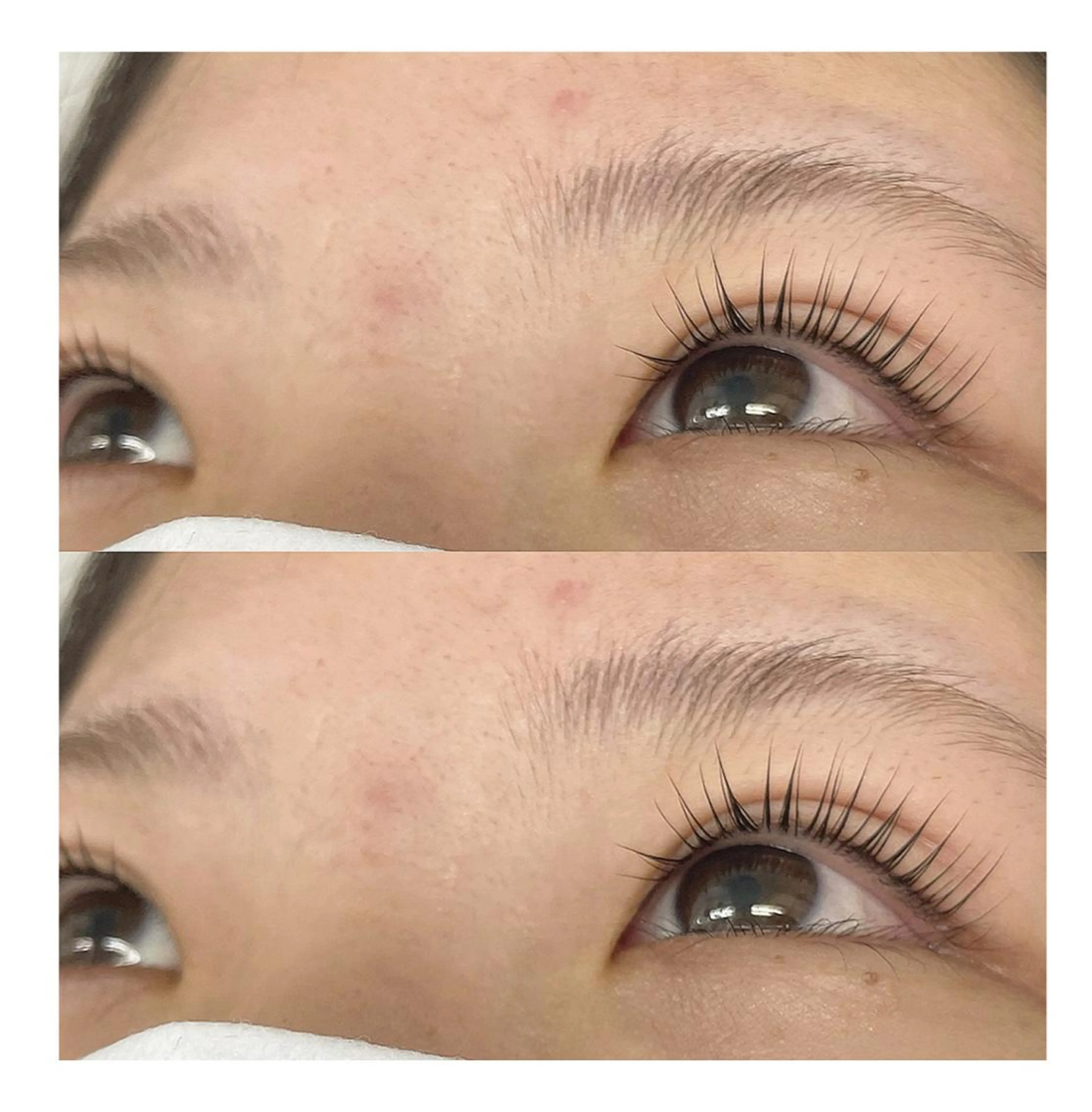 マツエク・マツパ パリジェンヌラッシュリフト アイニコ天神店 徳島のマツエク・マツパデザイン