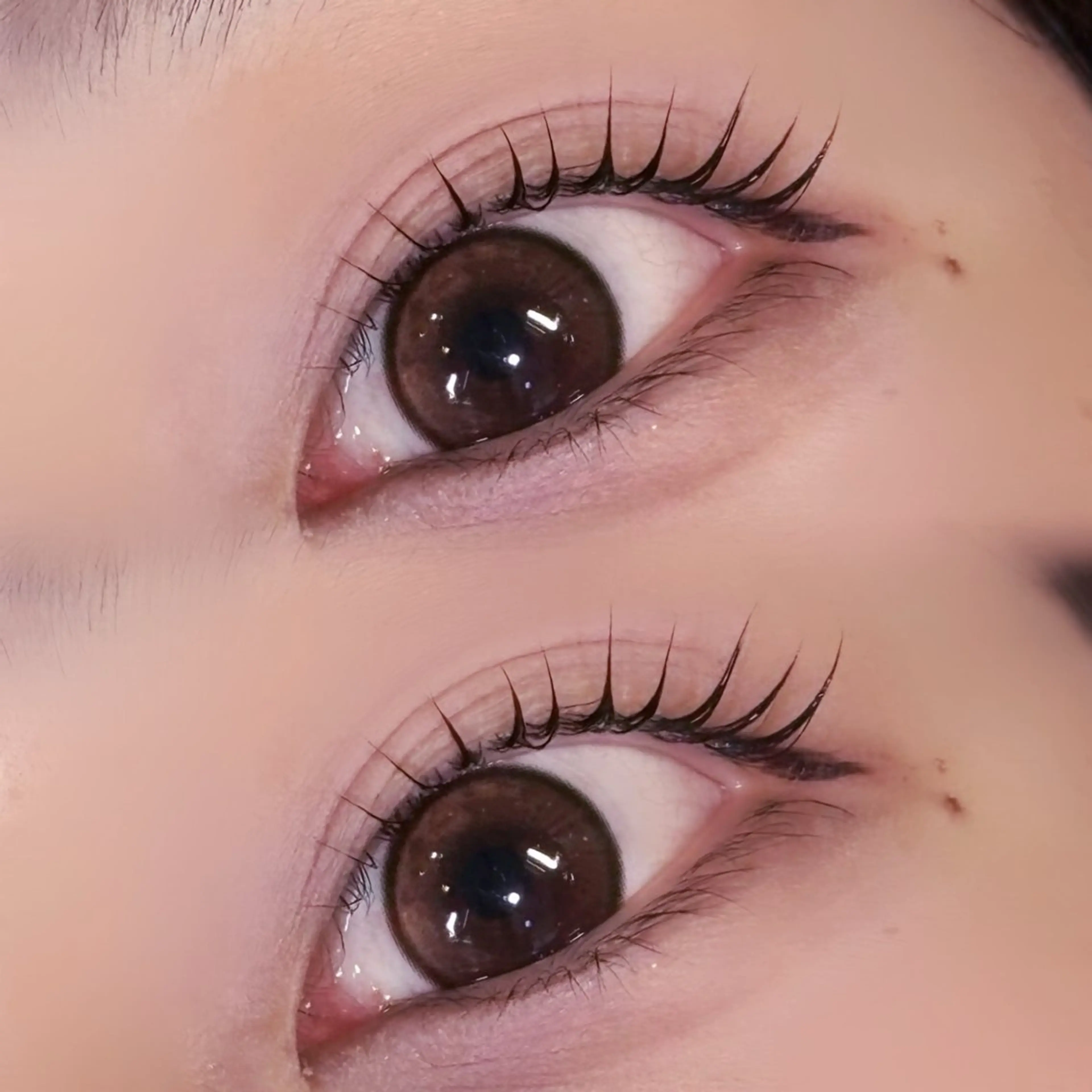 🫧パリジェンヌラッシュリフト🫧高濃度tr付の写真