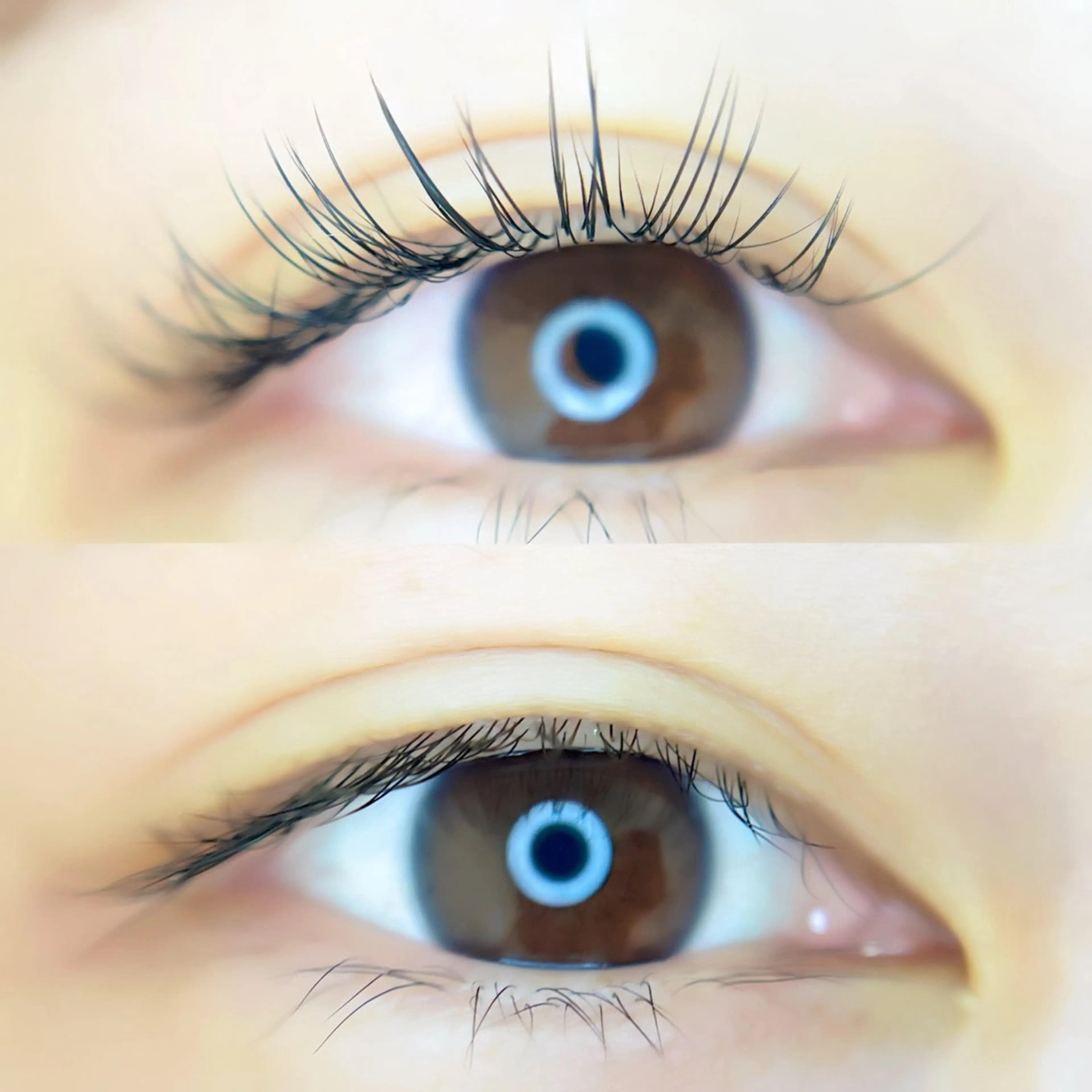 マツエク・マツパ Favóche eyelashのマツエク・マツパデザイン