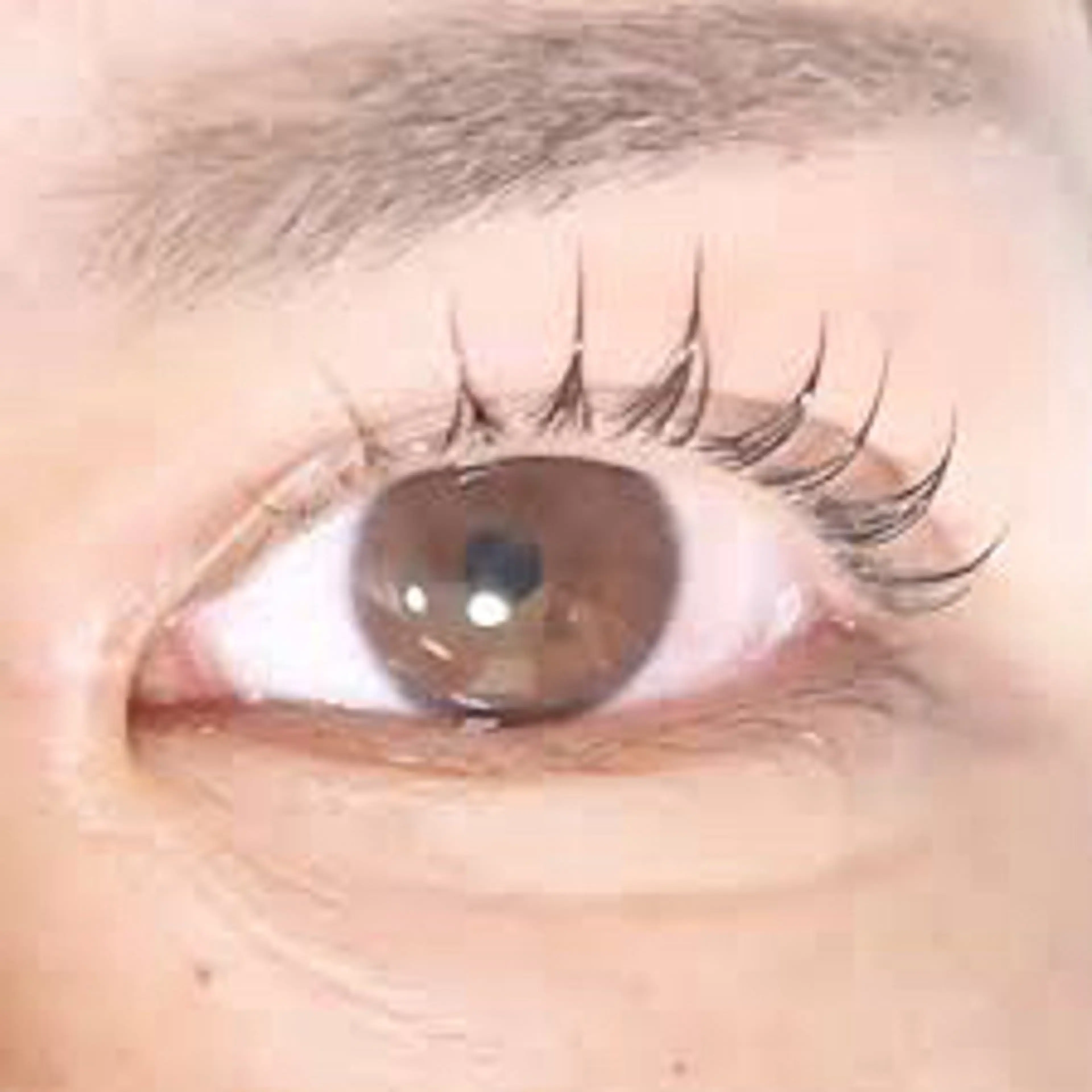 マツエク・マツパ マリーテレジア博多 🐰UMENOのマツエク・マツパデザイン