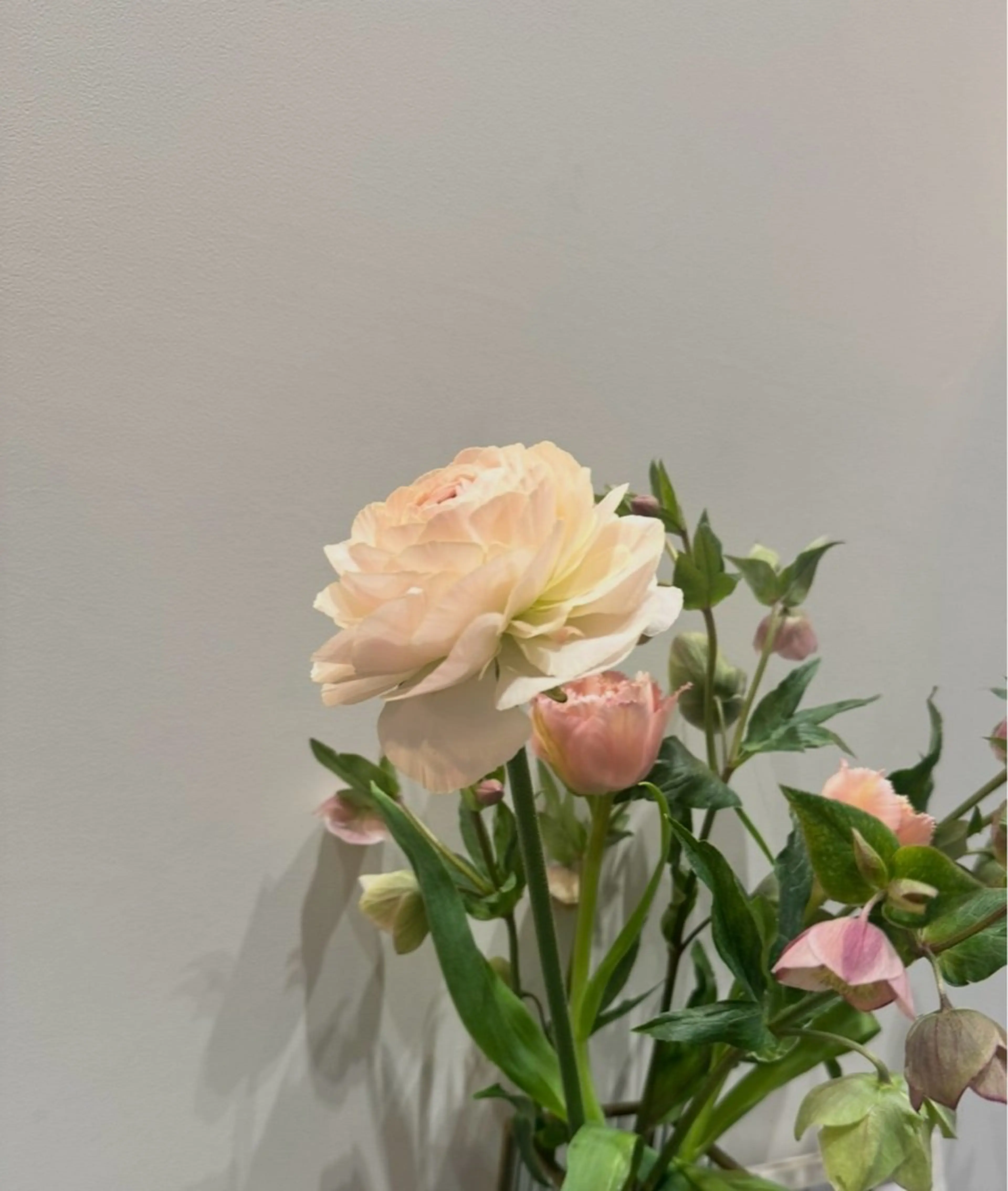 エステ リラク 浮腫|肩こり|張り 日々の疲れを解消★のエステ・リラクイメージ