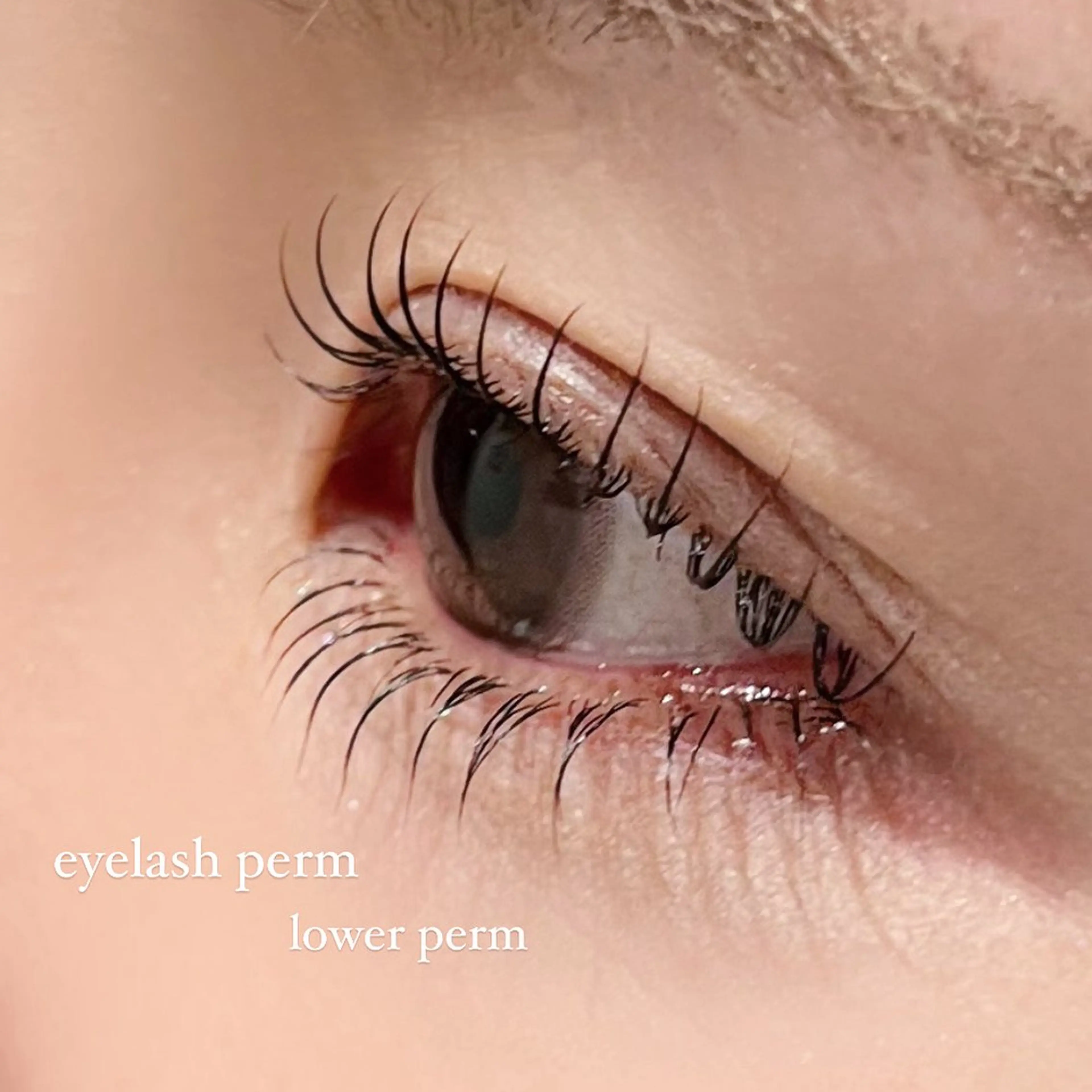 マツエク・マツパ マツパ MIRU ...のマツエク・マツパデザイン