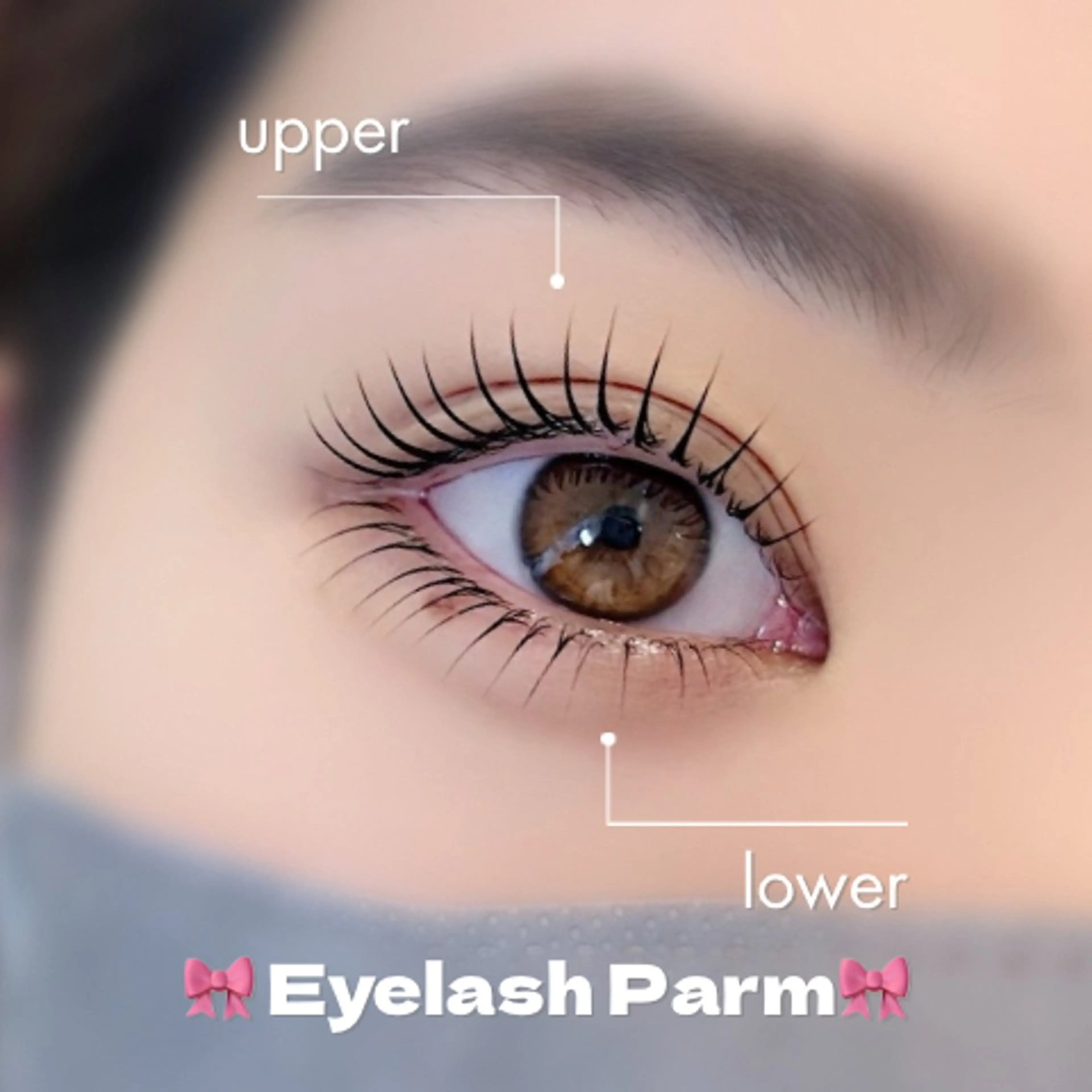 【🎀小顔見えSet👀 ̖́-︎】👑上下パリジェンヌ orまつ毛パーマ➕🫧アイパック・高保湿コーティング仕上げ✨️の写真