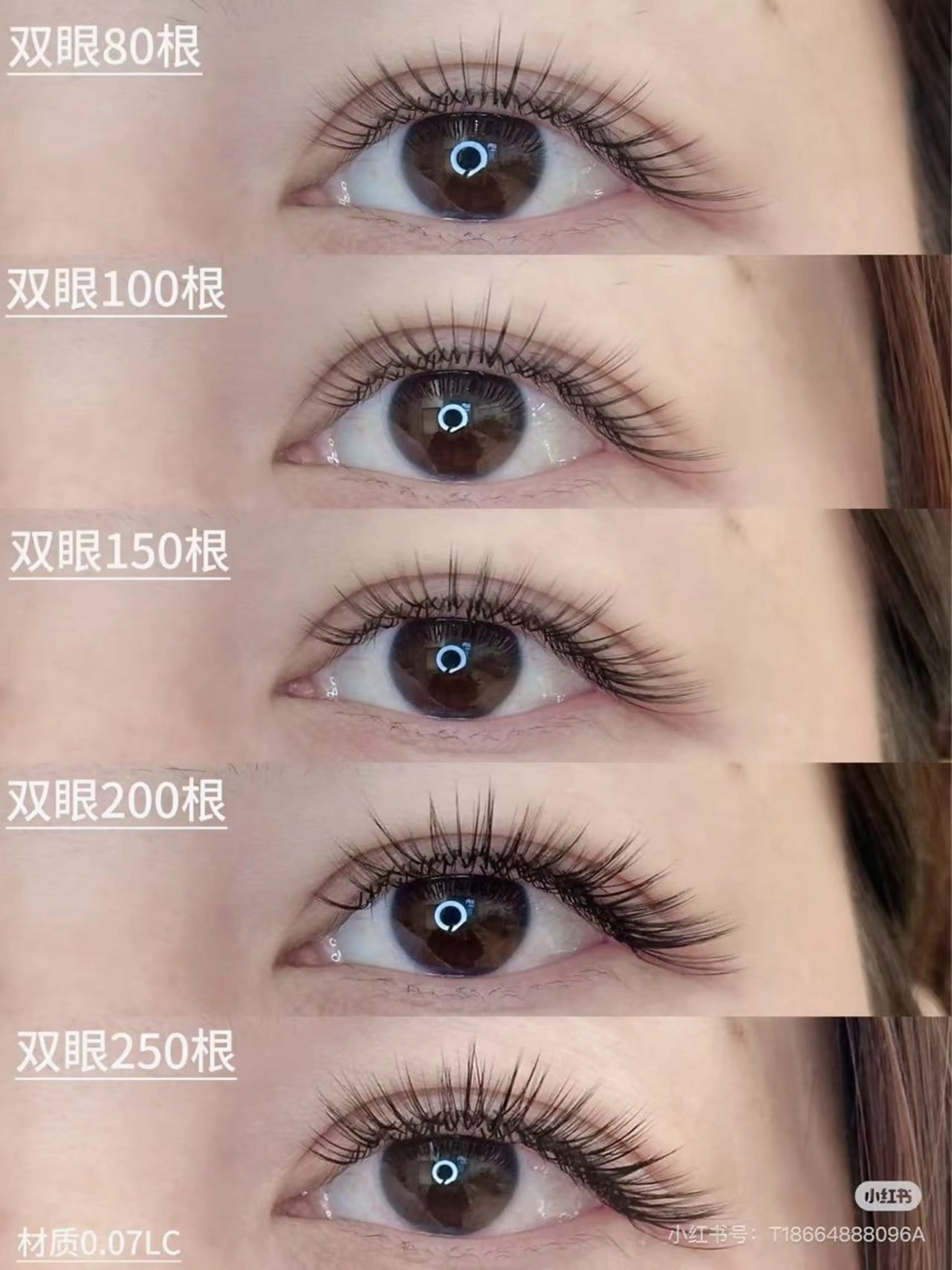 マツエク・マツパ 大人気🌸ran L ED専門店/パリエクのマツエク・マツパデザイン