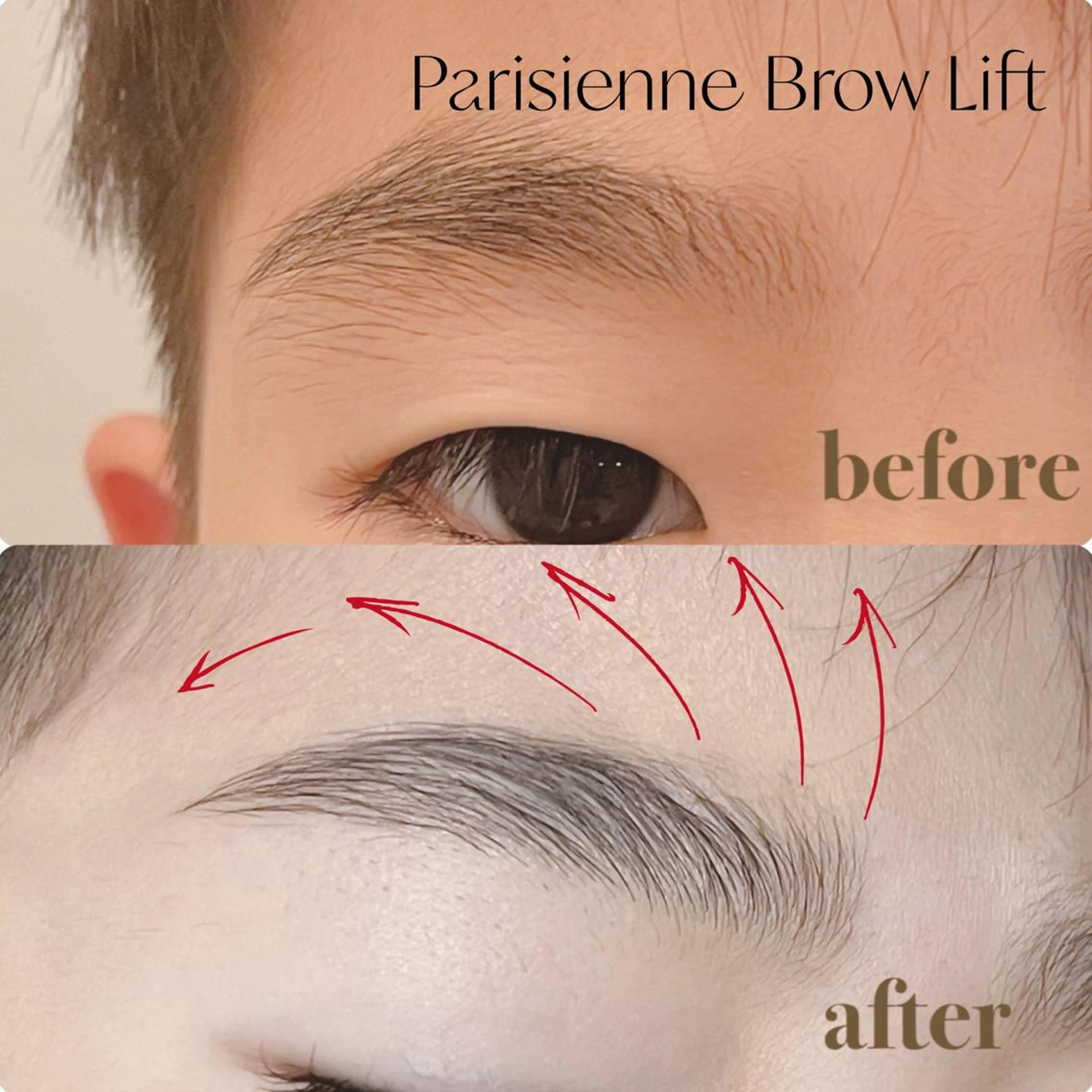 アイブロウ chouette ...シュエットのマツエク・マツパデザイン