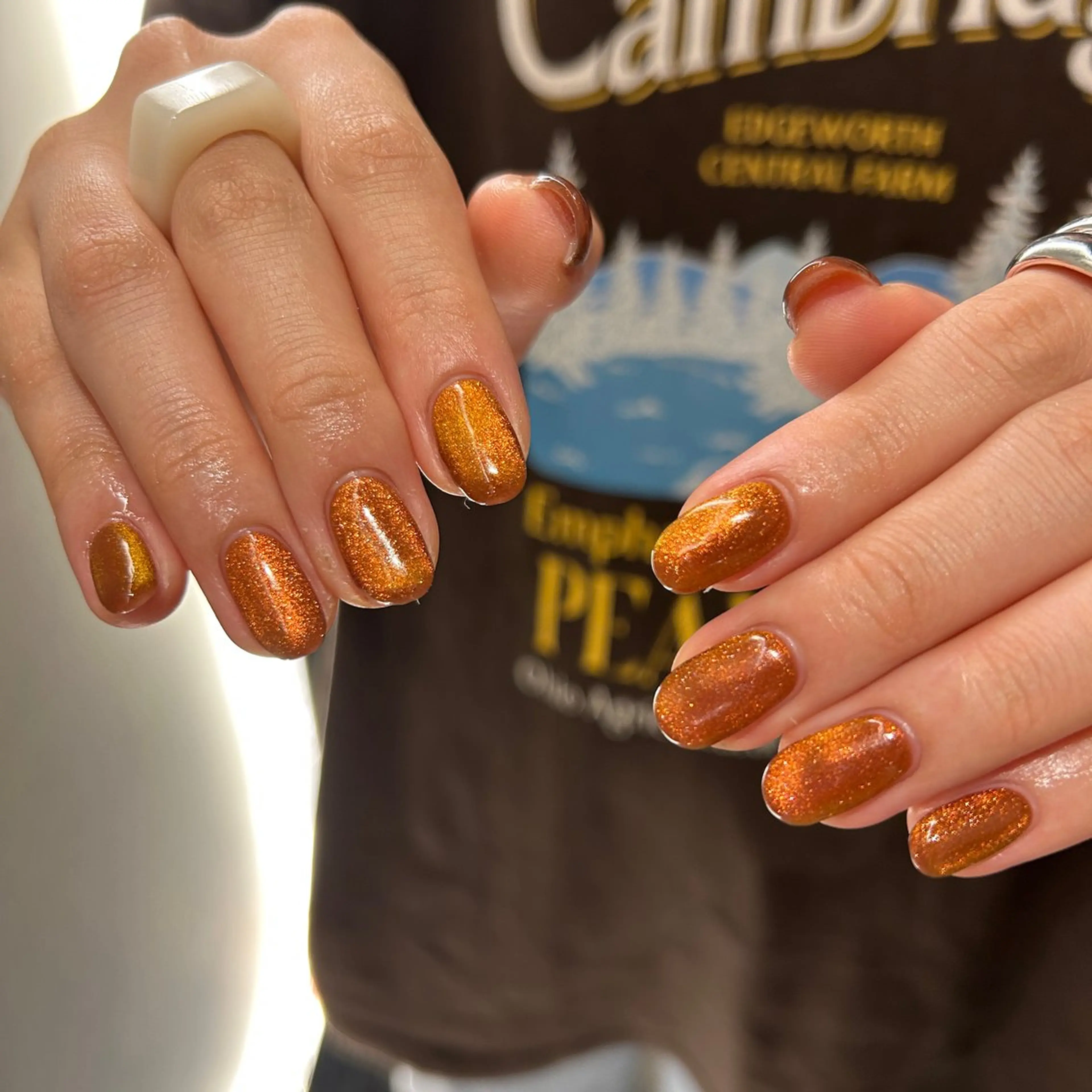 ネイル マグネットネイル ハンドネイル sayaka 🩰のネイルデザイン