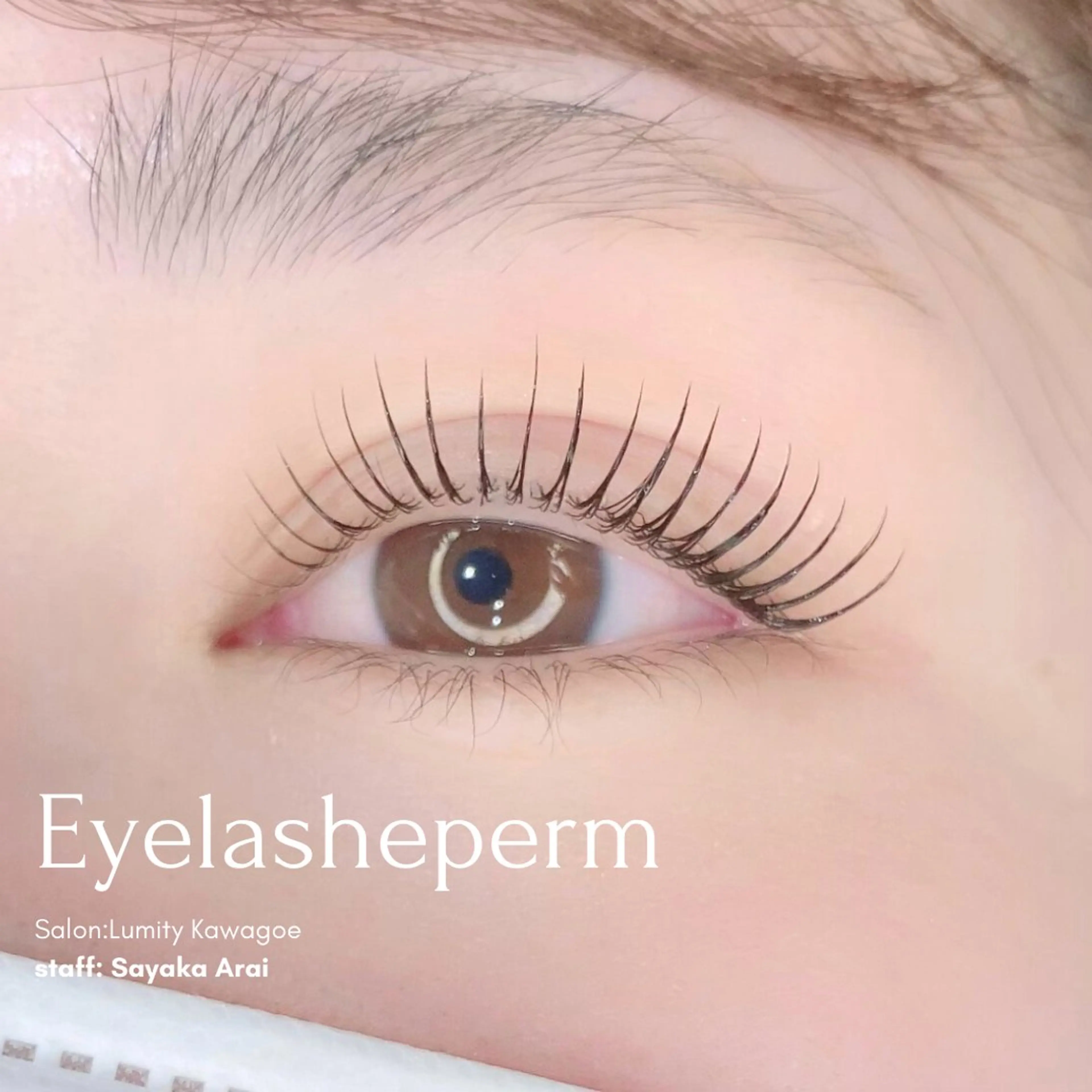 練習モデル🎀まつげパーマ(お目元撮影可能な方限定📷✨)の写真