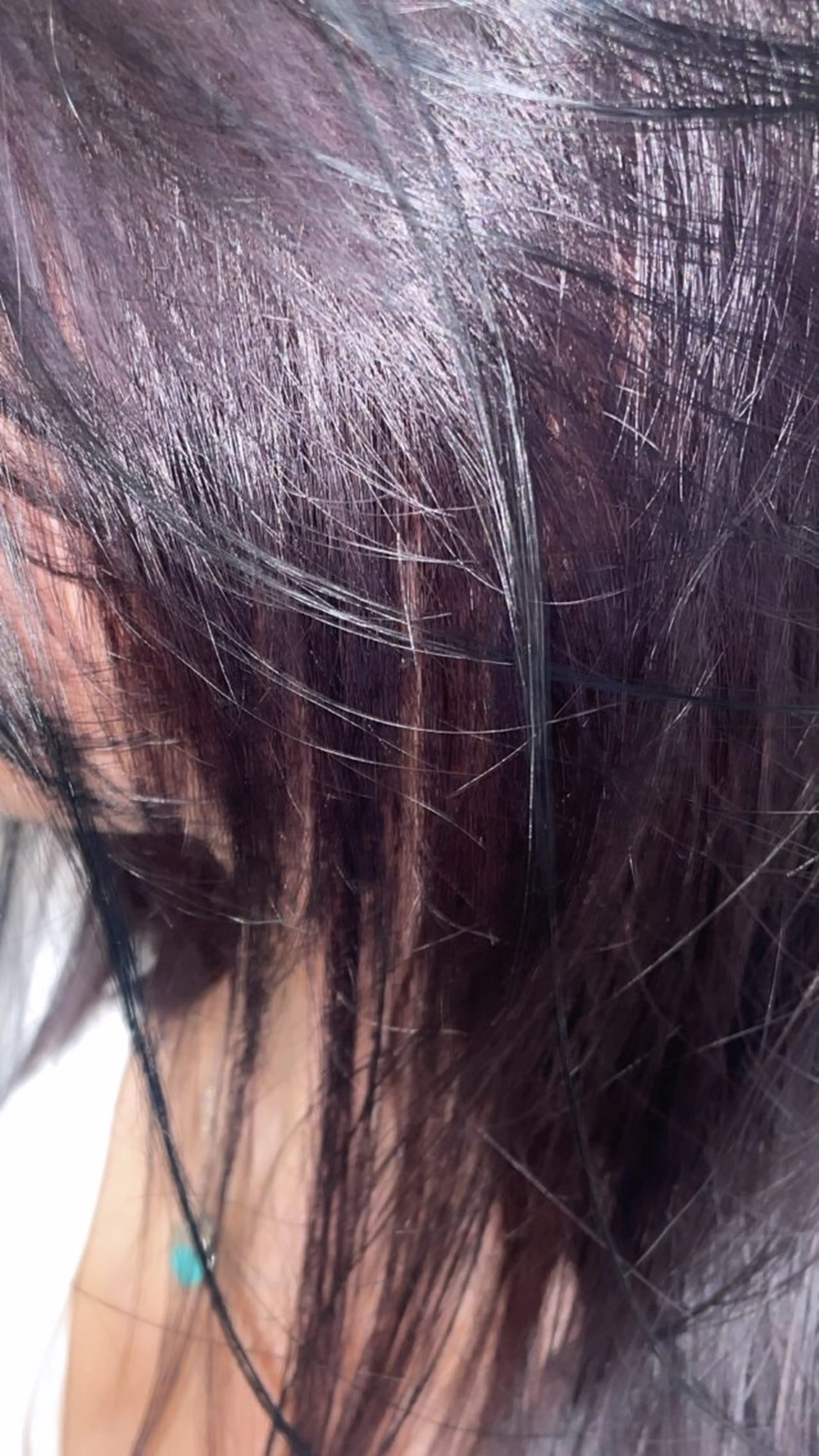 カラー インナーカラー ヘアカラー 🖤sumire🖤 メンズアイブロウのヘアスタイル