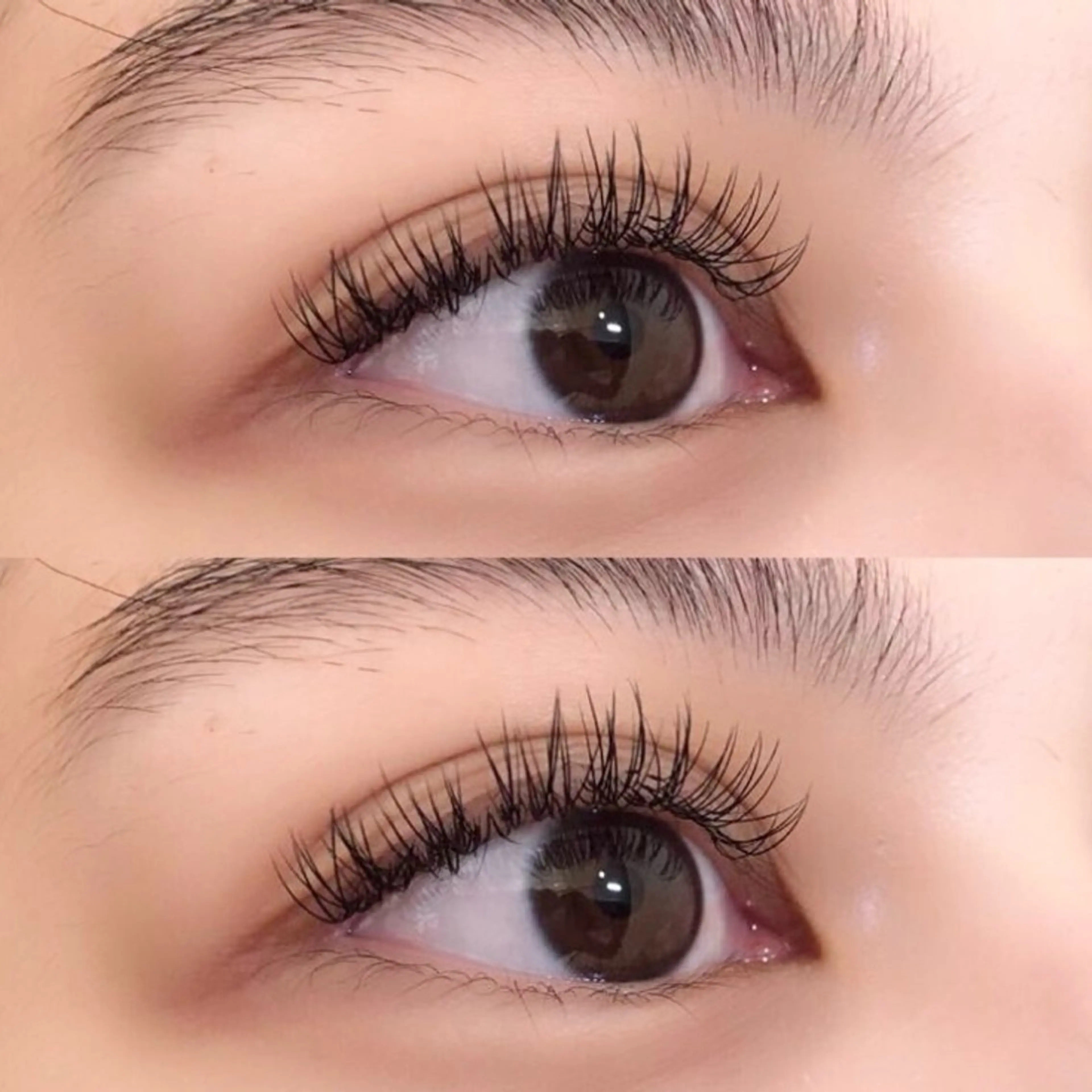 LEDマツエク⭐️フラットラッシュ120本❣️の写真