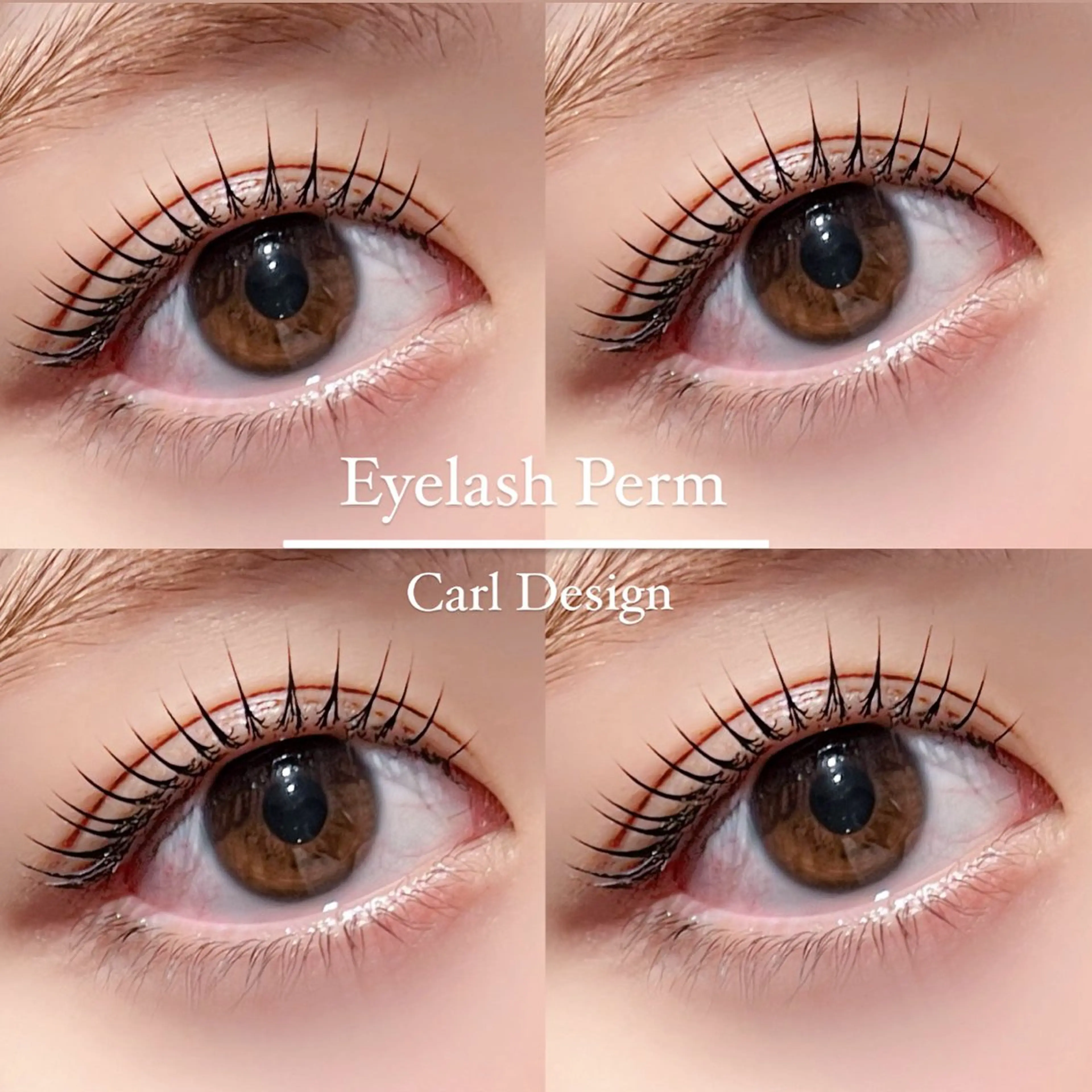 【限定menu✨】お目元に合わせて選べるまつ毛パーマ+下まつ毛パーマ👀🤍の写真