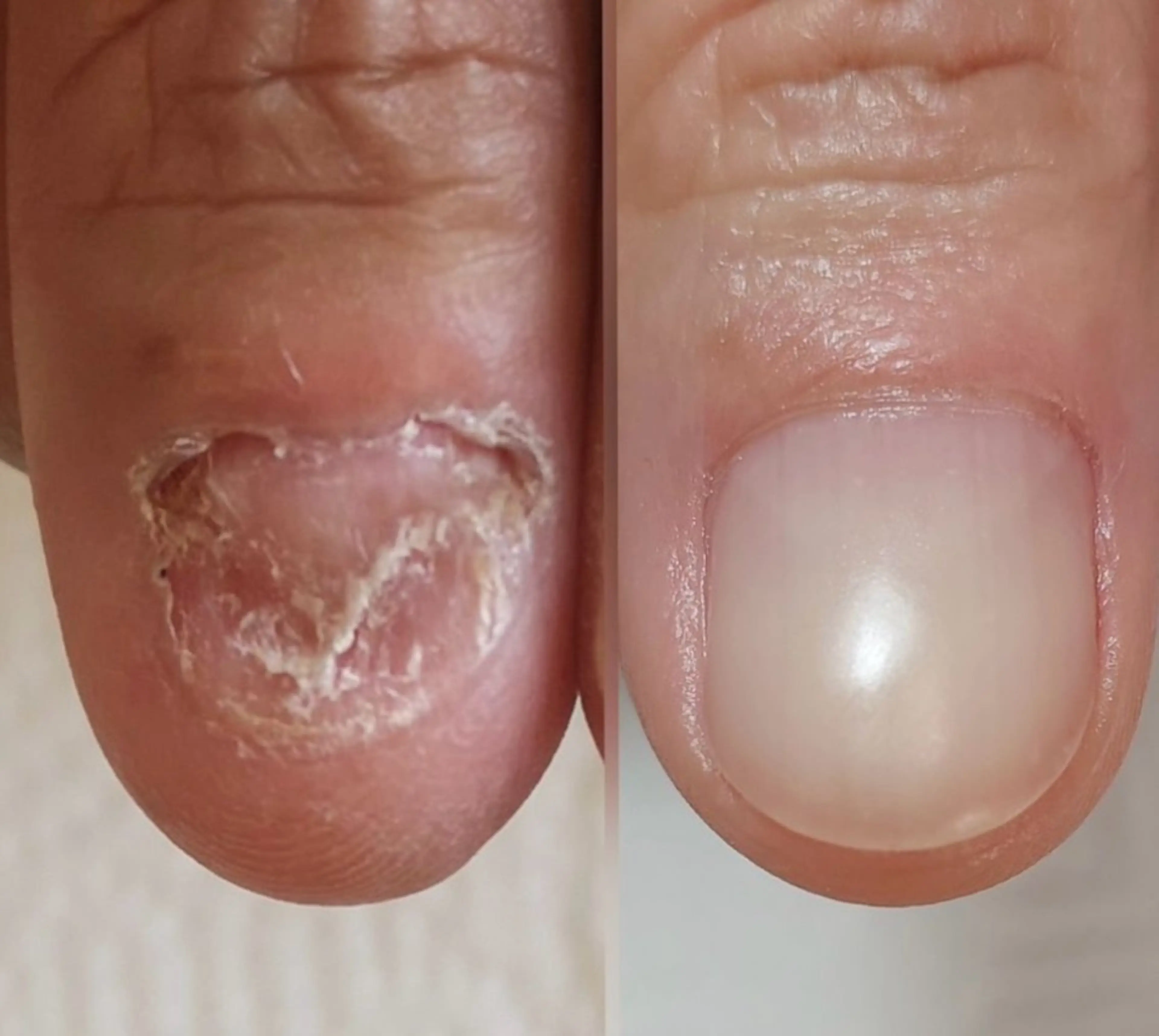 ネイル Elle& staffのネイルデザイン