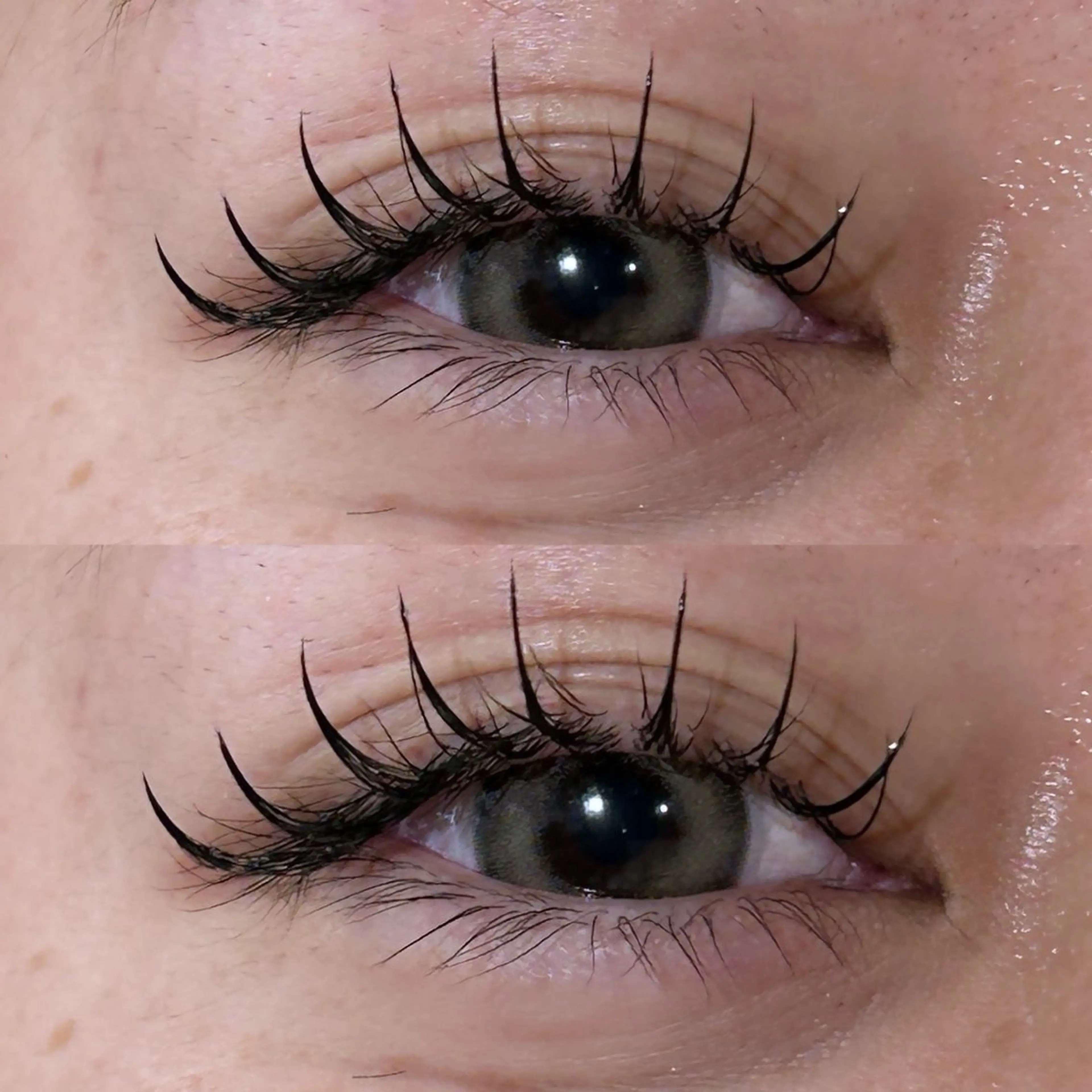 マツエク・マツパ マツパ 透明感ツヤカラー/ アイリスト/ゆきなのマツエク・マツパデザイン