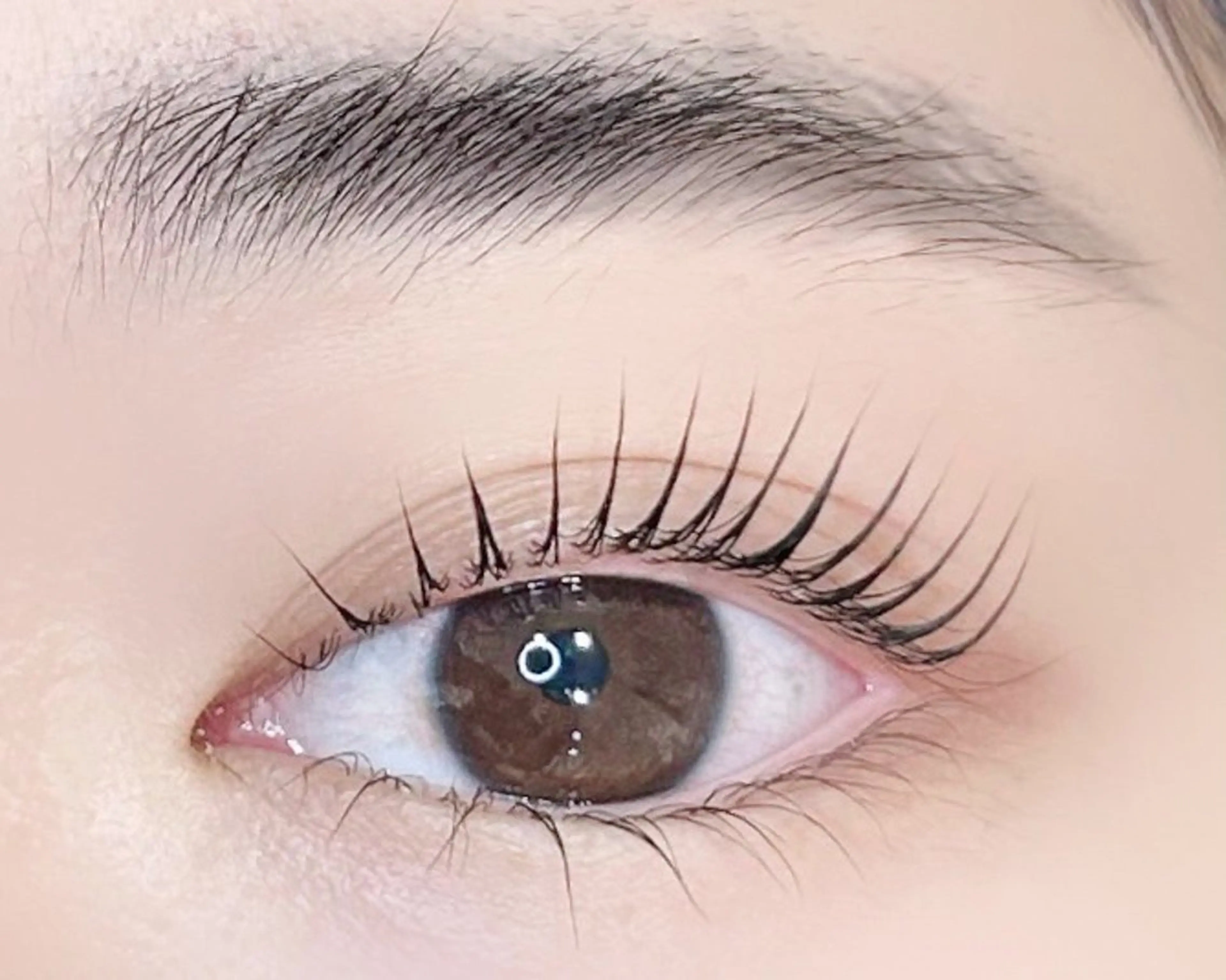 オフあり/元祖束感まつげ韓国式🇰🇷トリートメントのみで上げる最先端まつ毛パーマ　ブラックティントトリートメント付きの写真