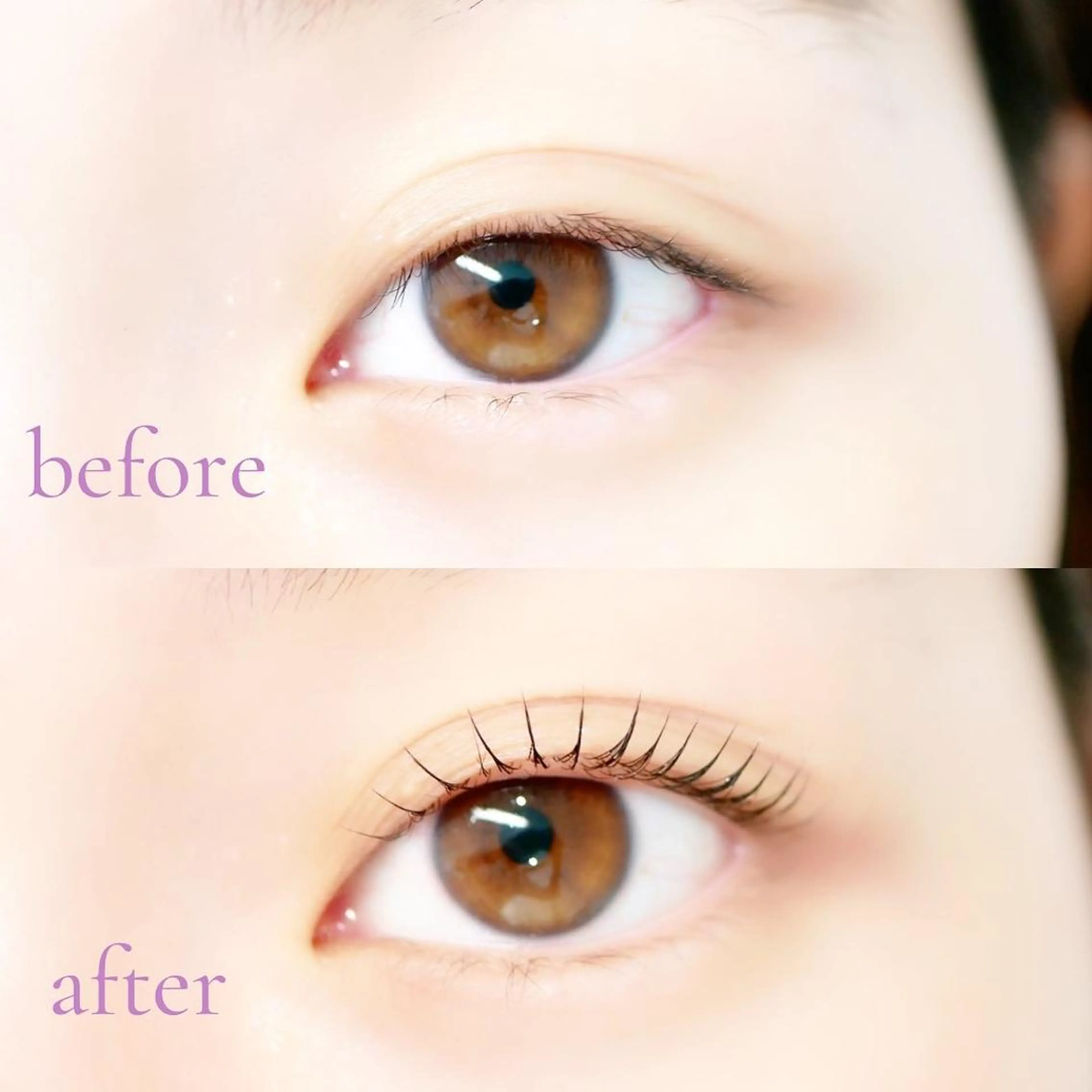 マツエク・マツパ asuka 𖥸 アイブロウ🦊🤎の眉毛・アイブロウイメージ