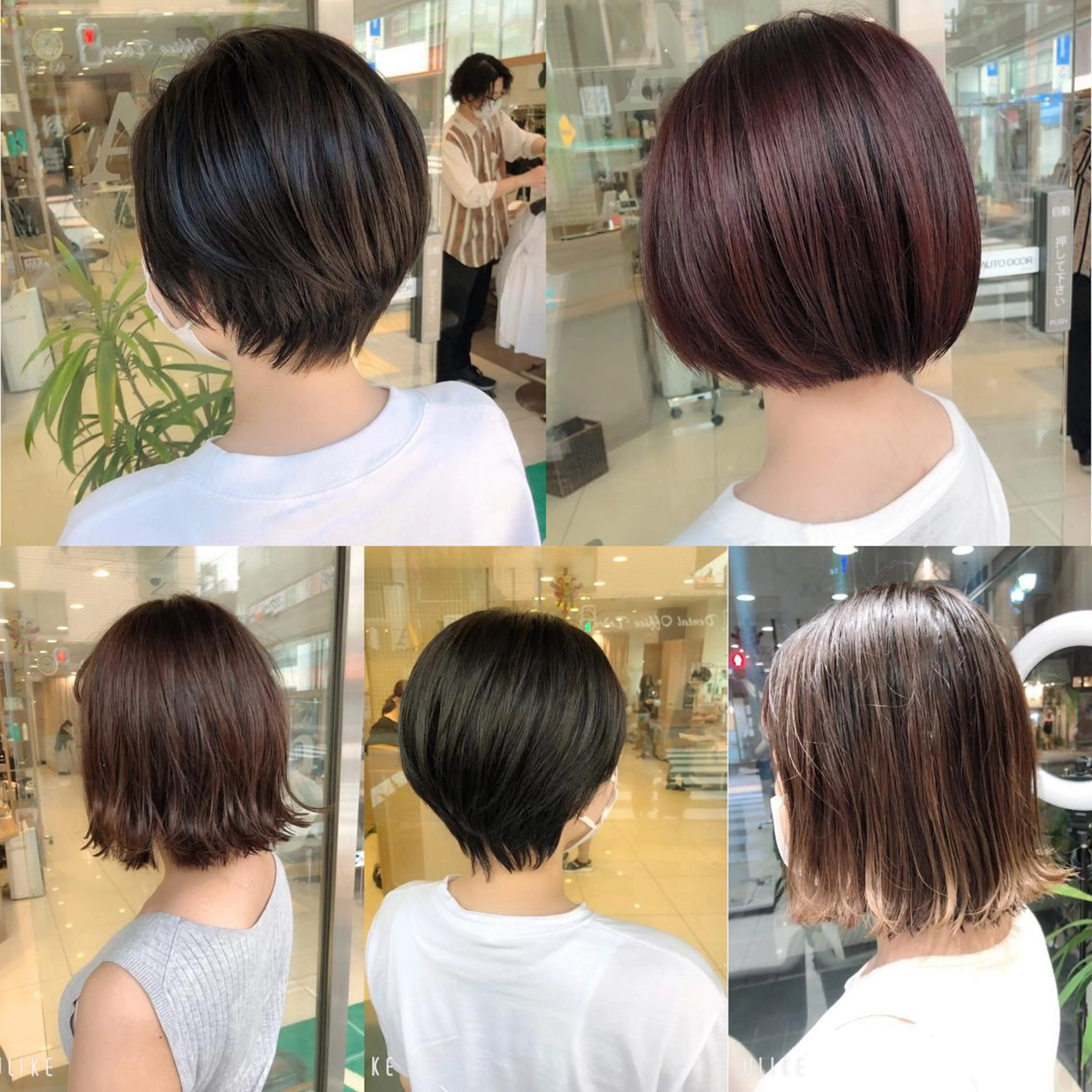 ショート ヘアアレンジ メンズ マッシュ ハンサムショート ショートヘア メンズパーマ特化/ メッシュ/薫/店長のヘアスタイル