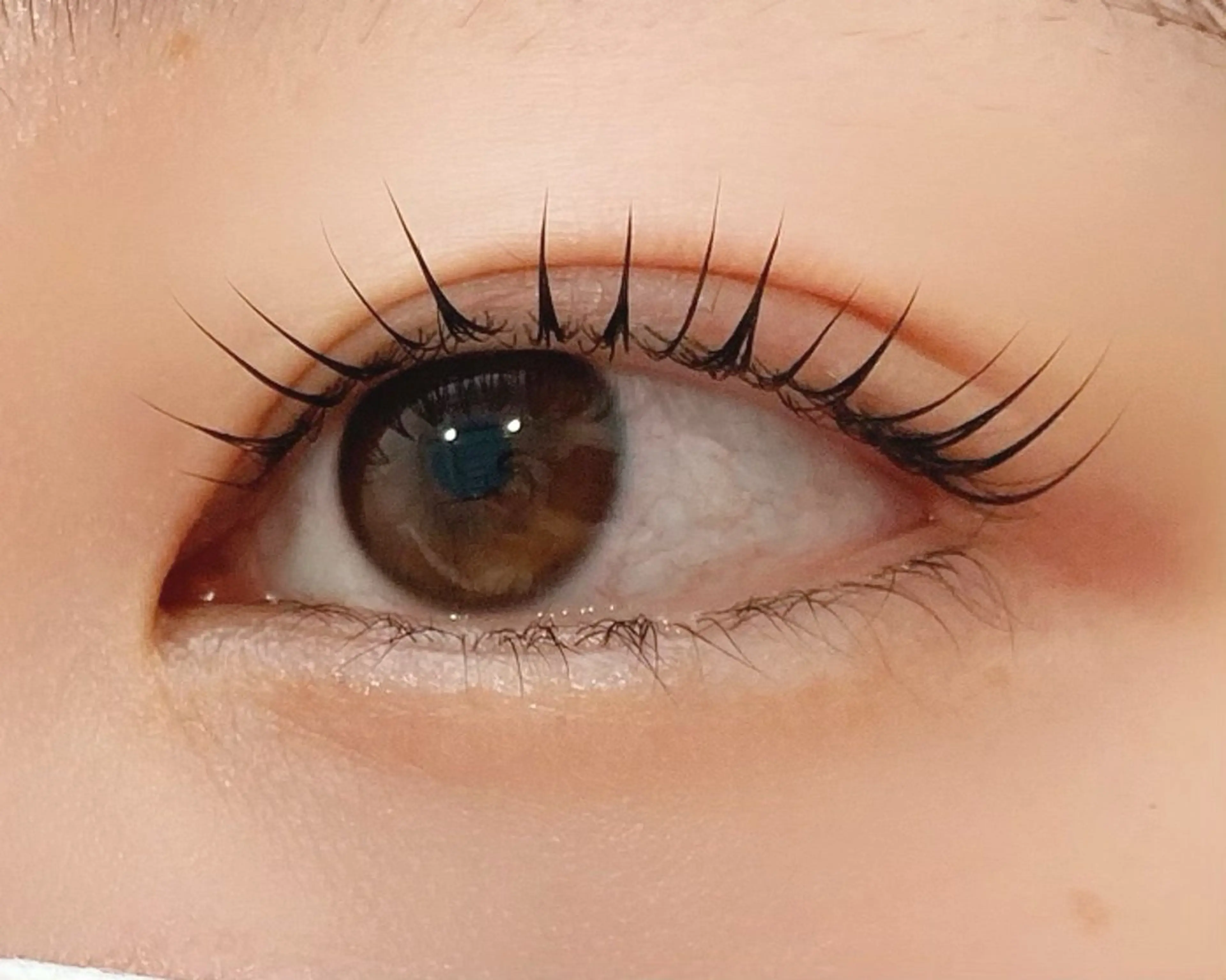 マツエク・マツパ マツパ HARP Eyelash所属・HARP 🌿 JURIの眉毛・アイブロウイメージ