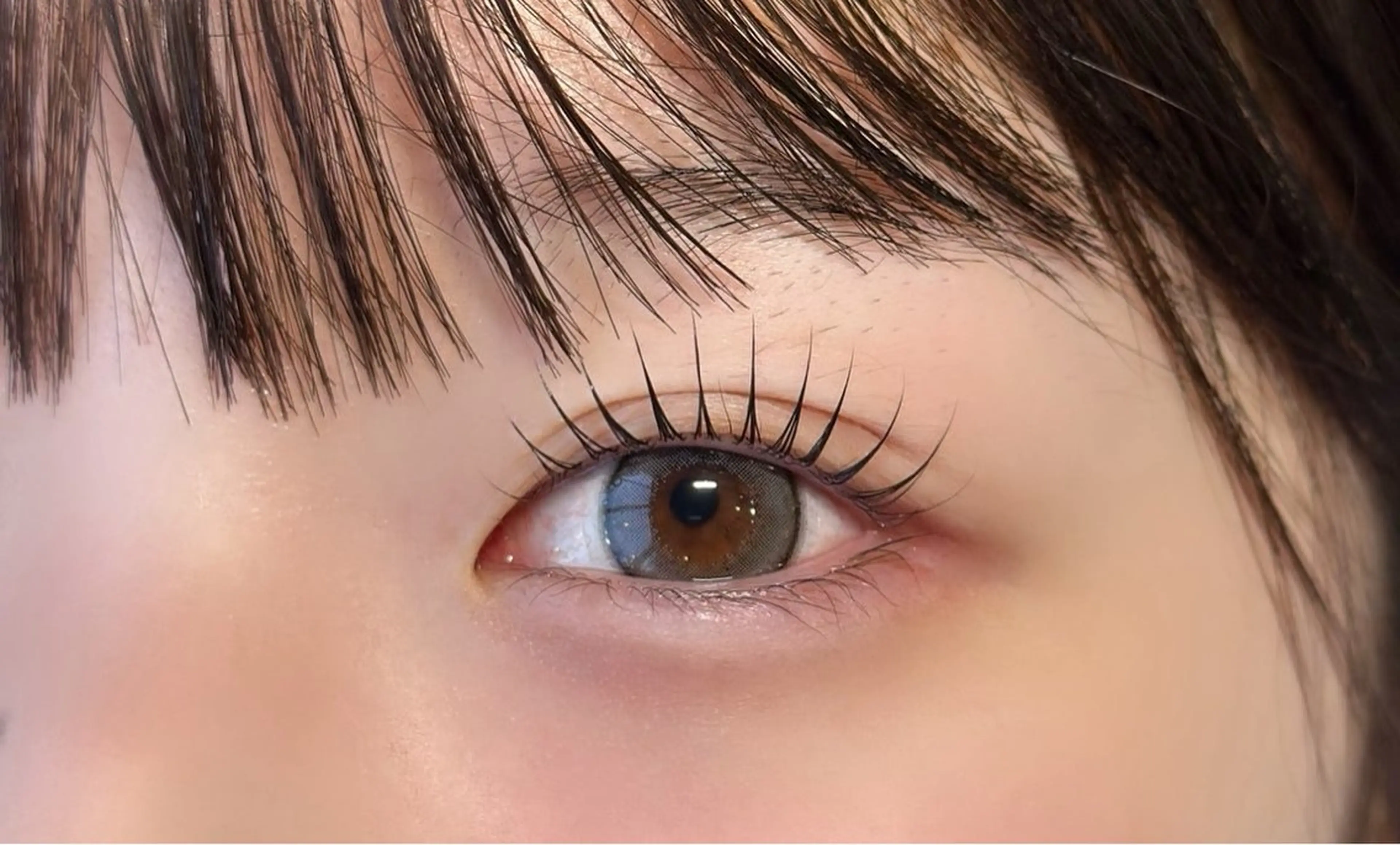 マツエク・マツパ パリジェンヌラッシュリフト Aprilush🦋 Cieloのマツエク・マツパデザイン