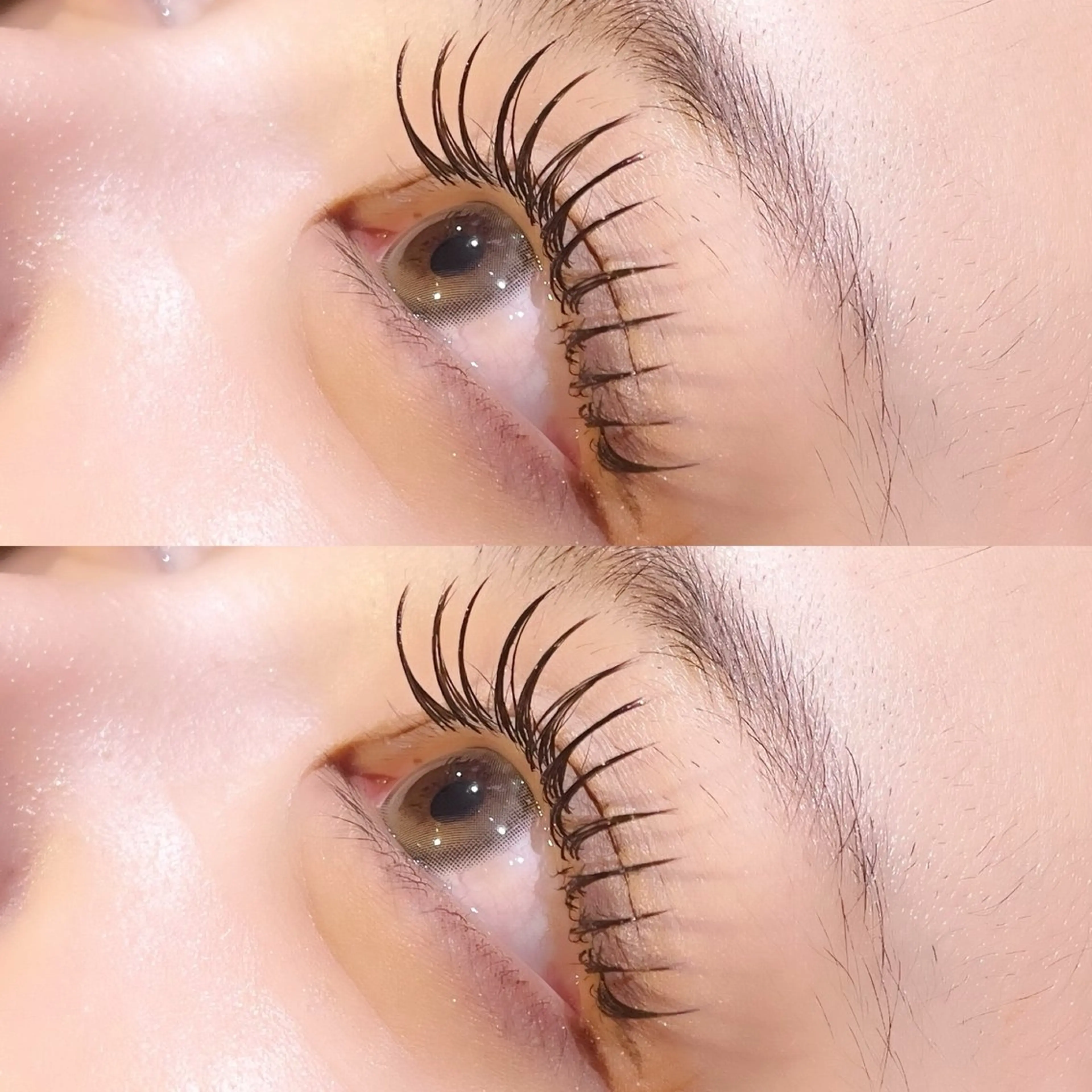 🦋‪カシミヤセーブル上100本まで付け放題🦋‪オフコーティング仕上げ付きの写真