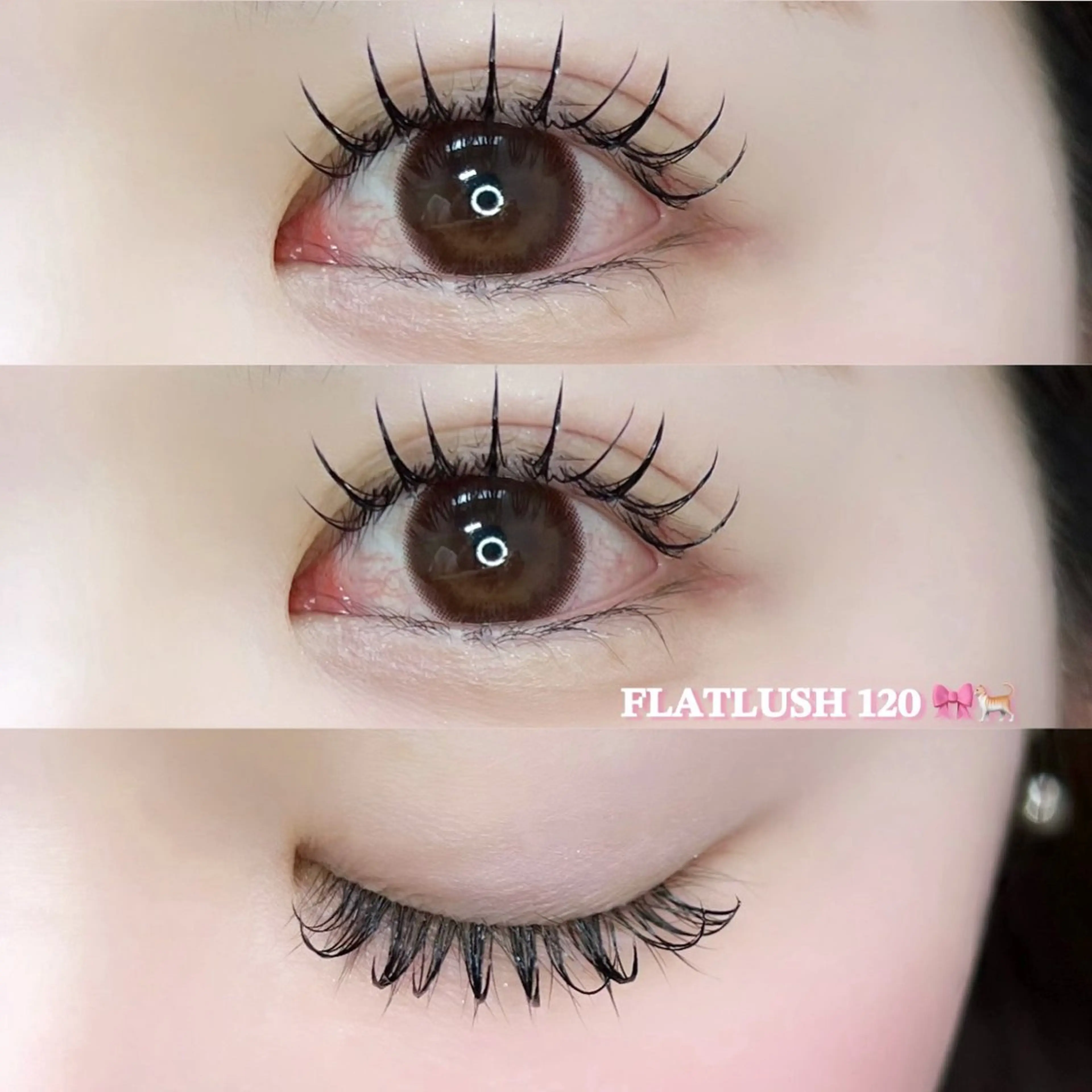 マツエク・マツパ キュート Milobyking 🍒rihoの眉毛・アイブロウイメージ