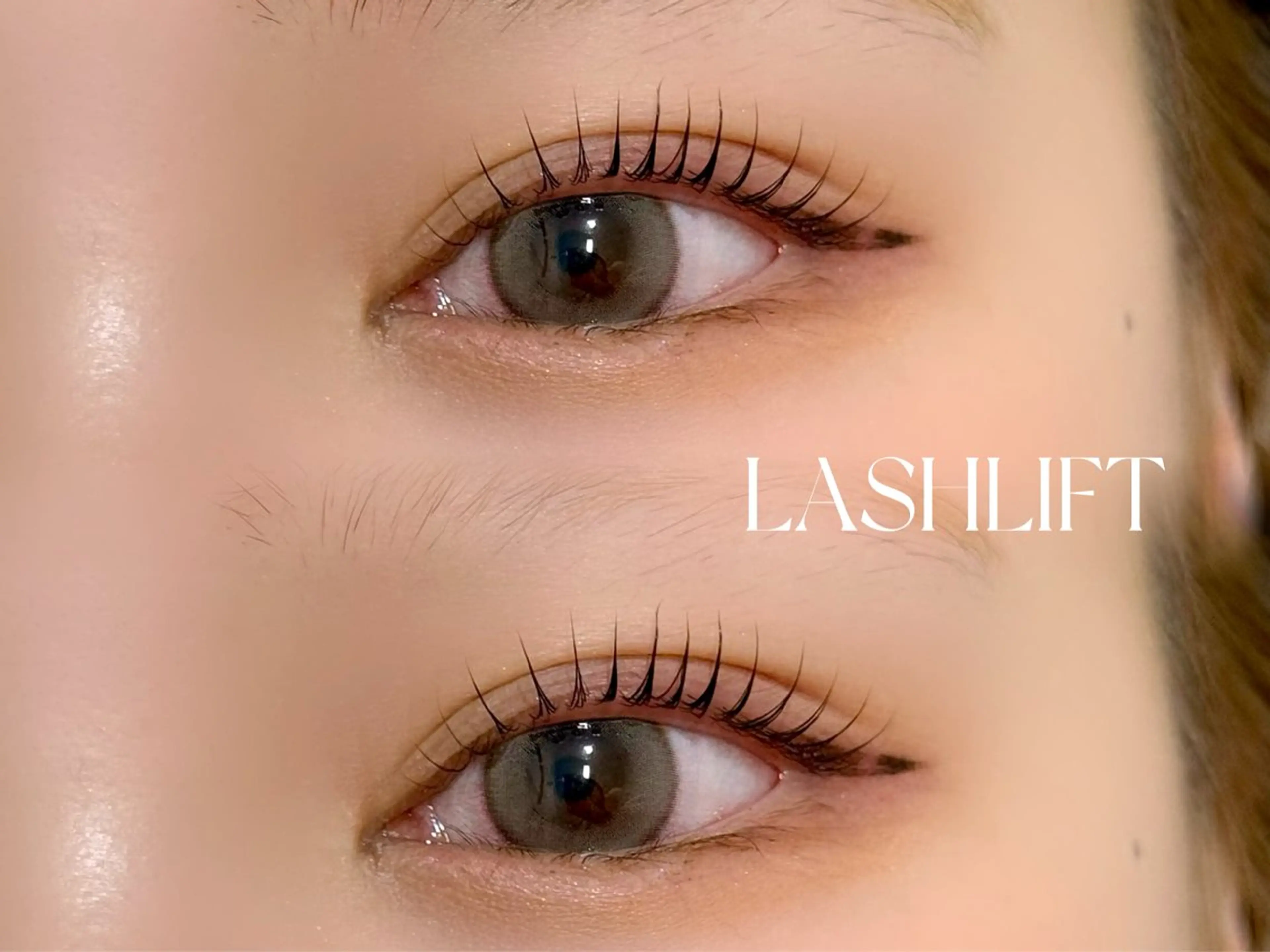 ãããšã¯ã»ããã ææãŸã€æ¯ éåœé¢šãããšã¯ ããªãžã§ã³ãã©ãã·ã¥ãªãã ãŸã€ãããŒã äžéÃãŸã€æ¯ããŒã ããã téa. -eyeroom-æå±ã»téa. reina/衚åéã®ãããšã¯ã»ããããã¶ã€ã³