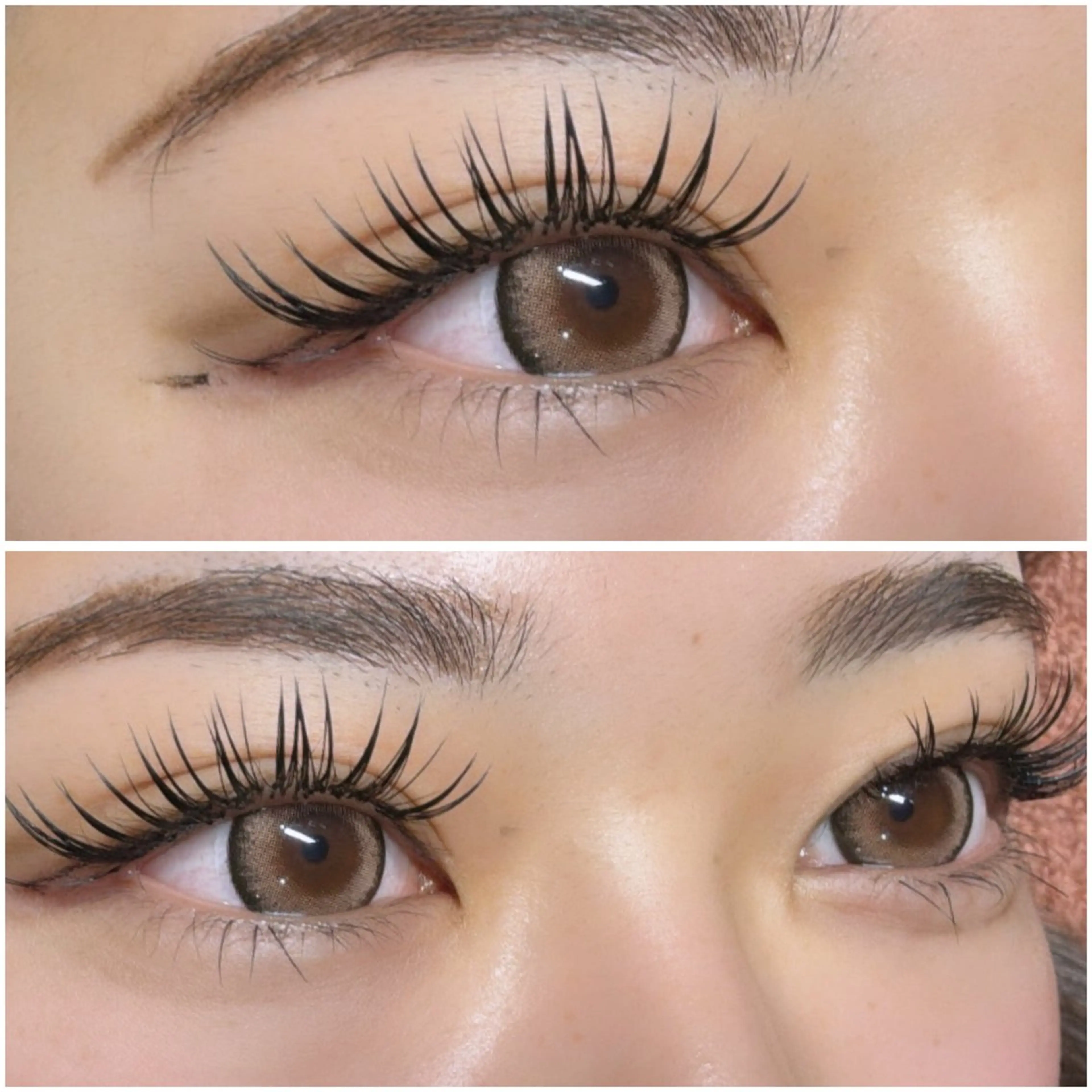 マツエク・マツパ バインドロック 束感まつ毛 フラットラッシュ マツエク ᴍɪɴᴀ. 🐈⬛のマツエク・マツパデザイン