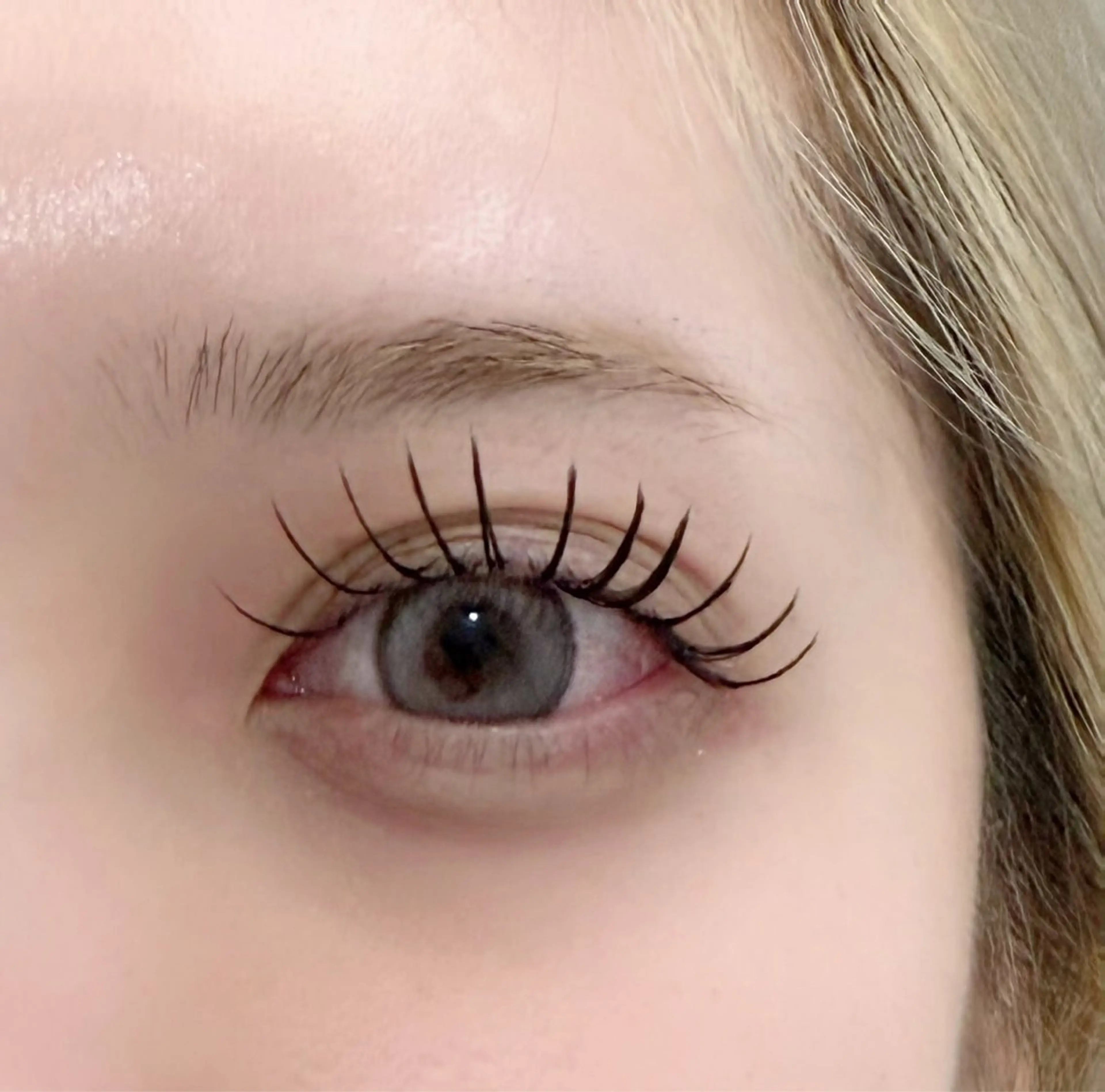 【期間限定❣️】フラットラッシュつけ放題（140本以上）オフ無料❣️アイシャンプー＋トリートメン込みの写真