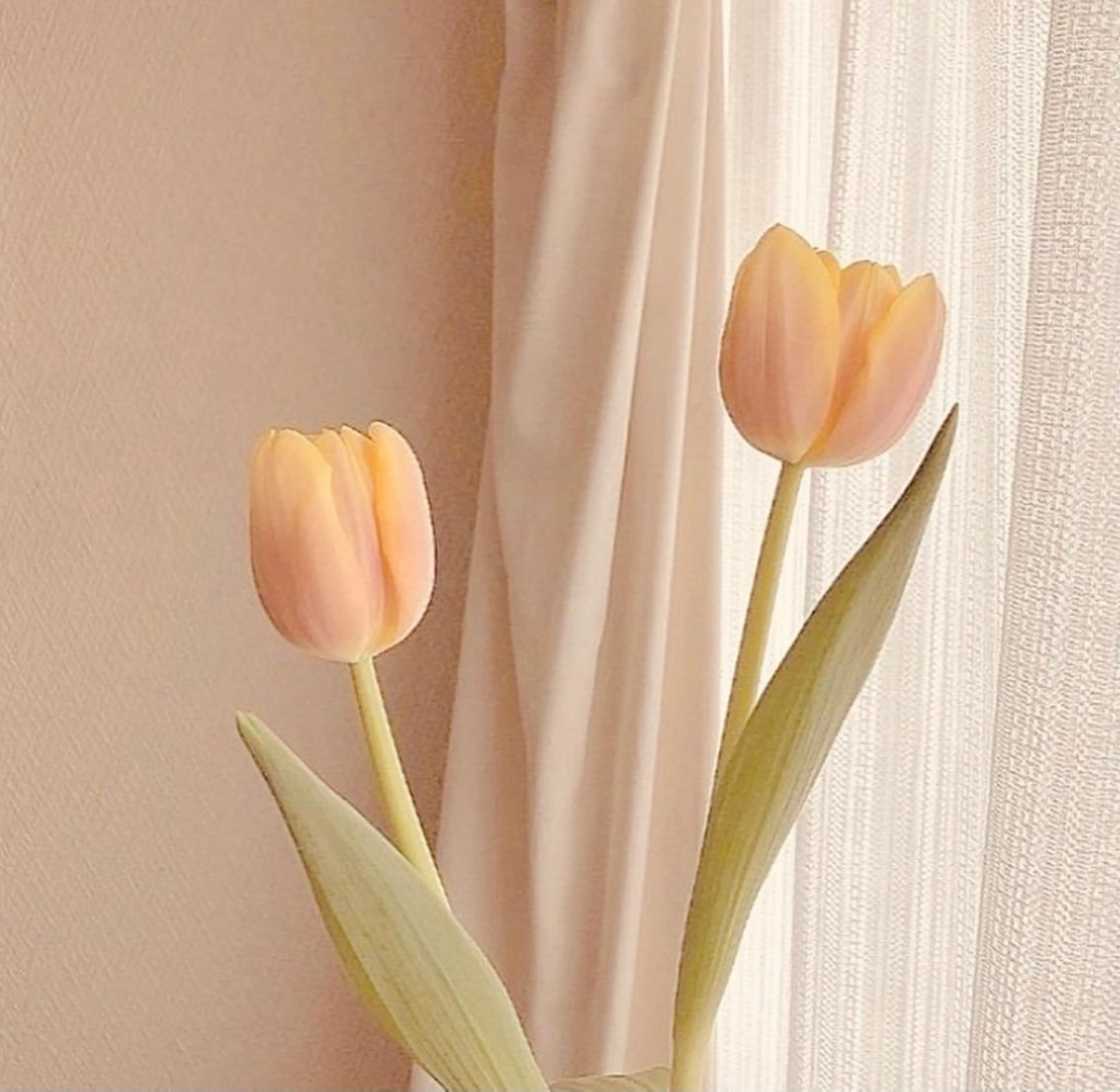 マツエク・マツパ TIARA Reinaのマツエク・マツパデザイン