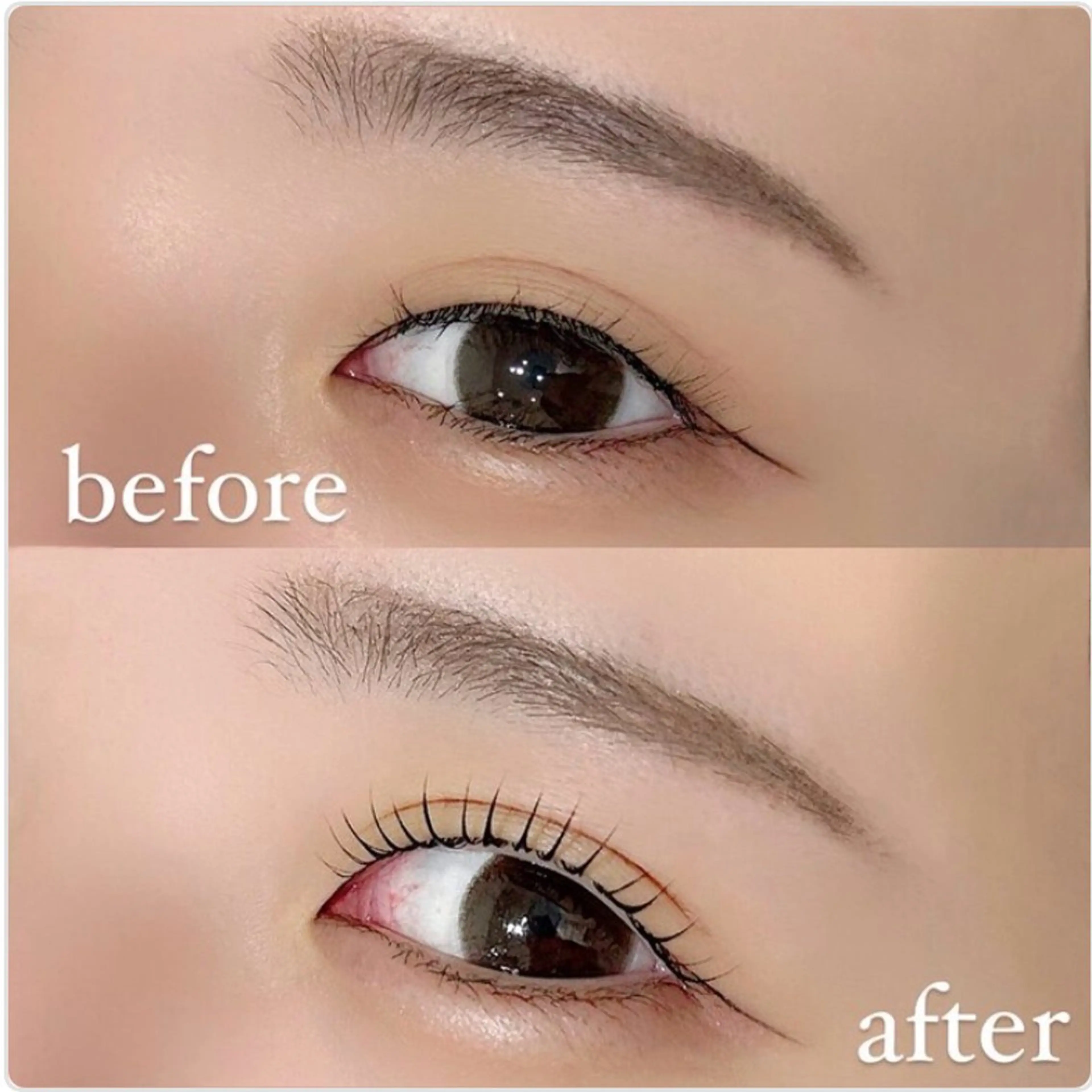 🌹 女性限定 まつ毛パーマ＆アイブロウ セットの写真