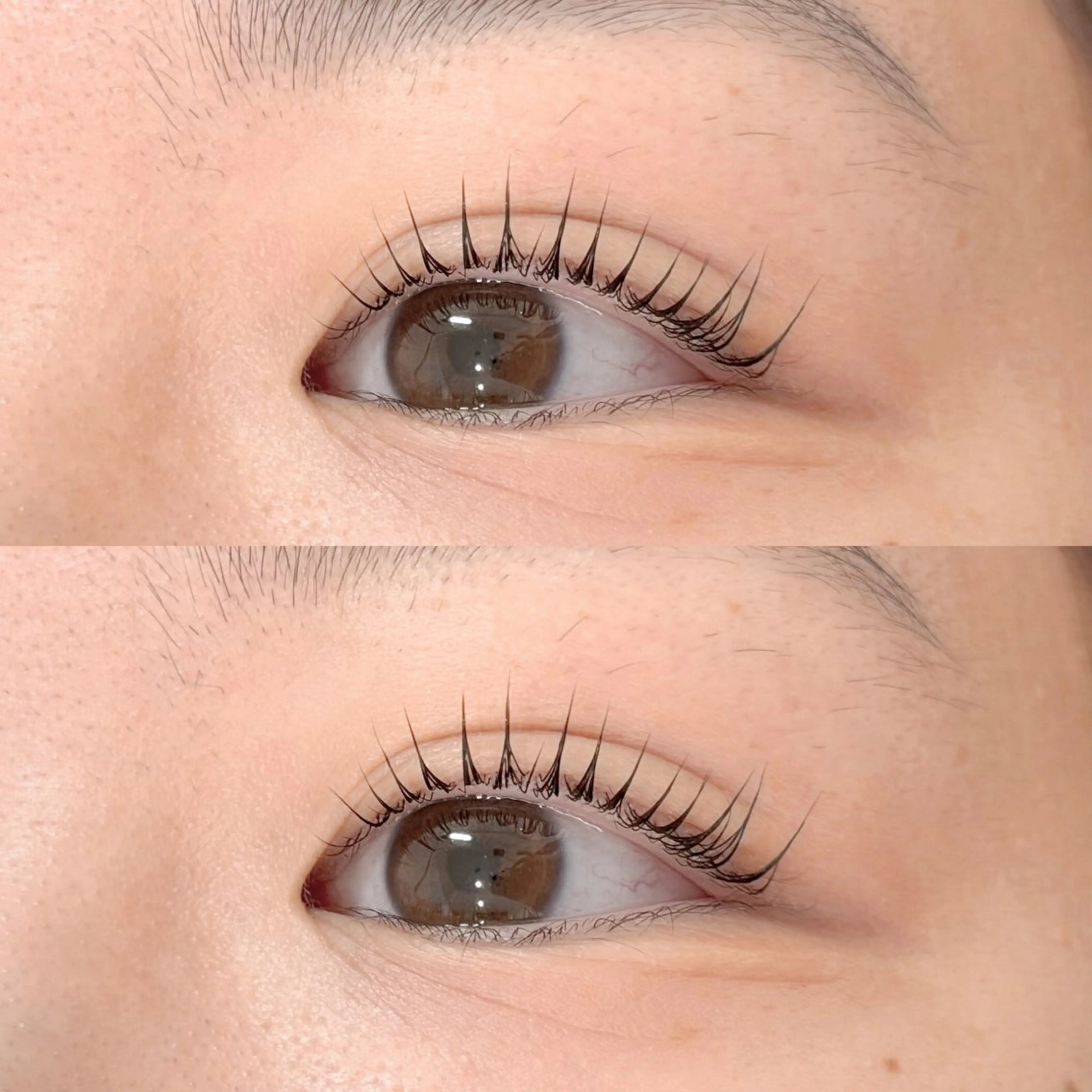 【🩵minimo限定価格】パリジェンヌラッシュリフト🎀の写真