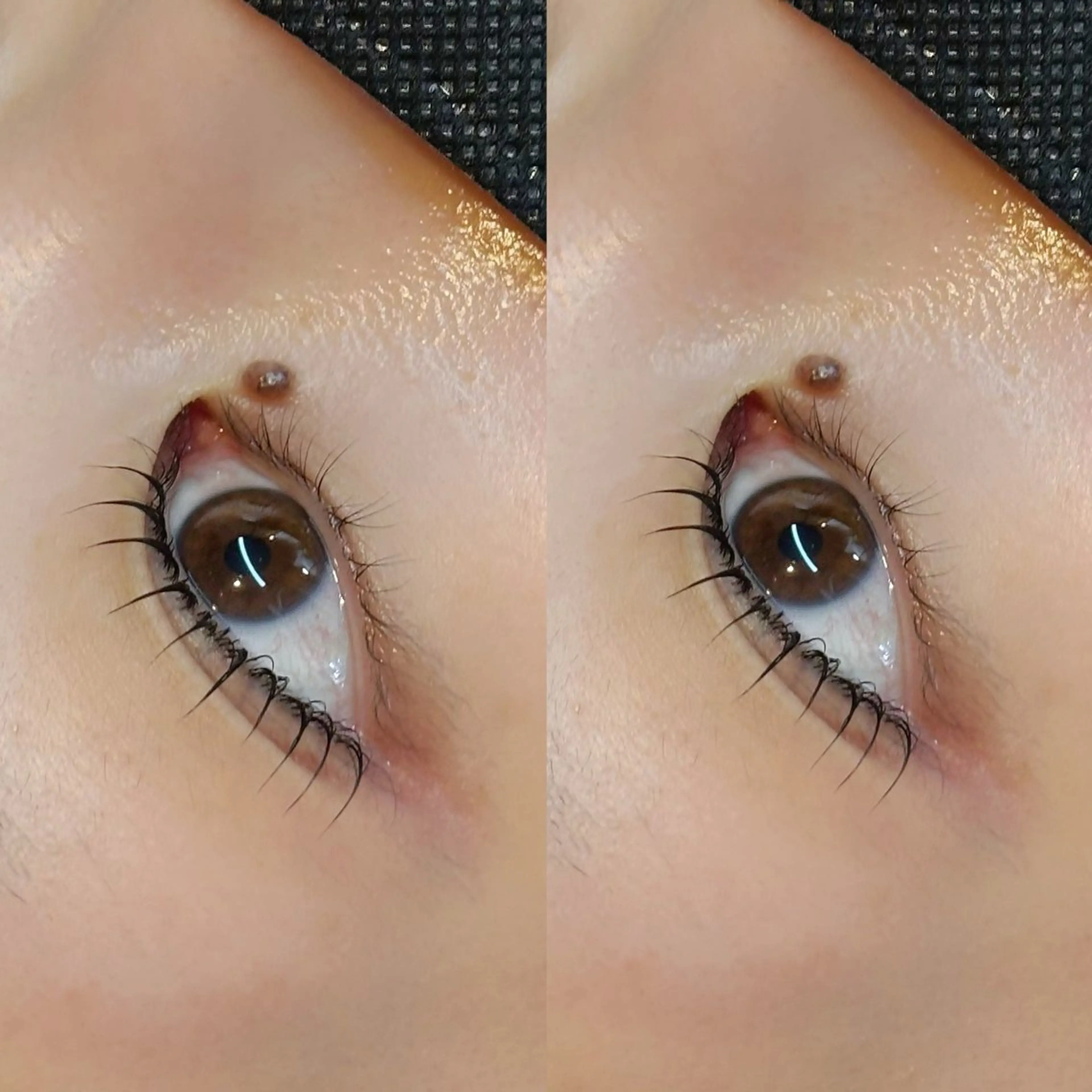 【ブライダルセット💍】まつげパーマ×眉毛wax（アイパック&トリートメント付）+コーティング剤の写真