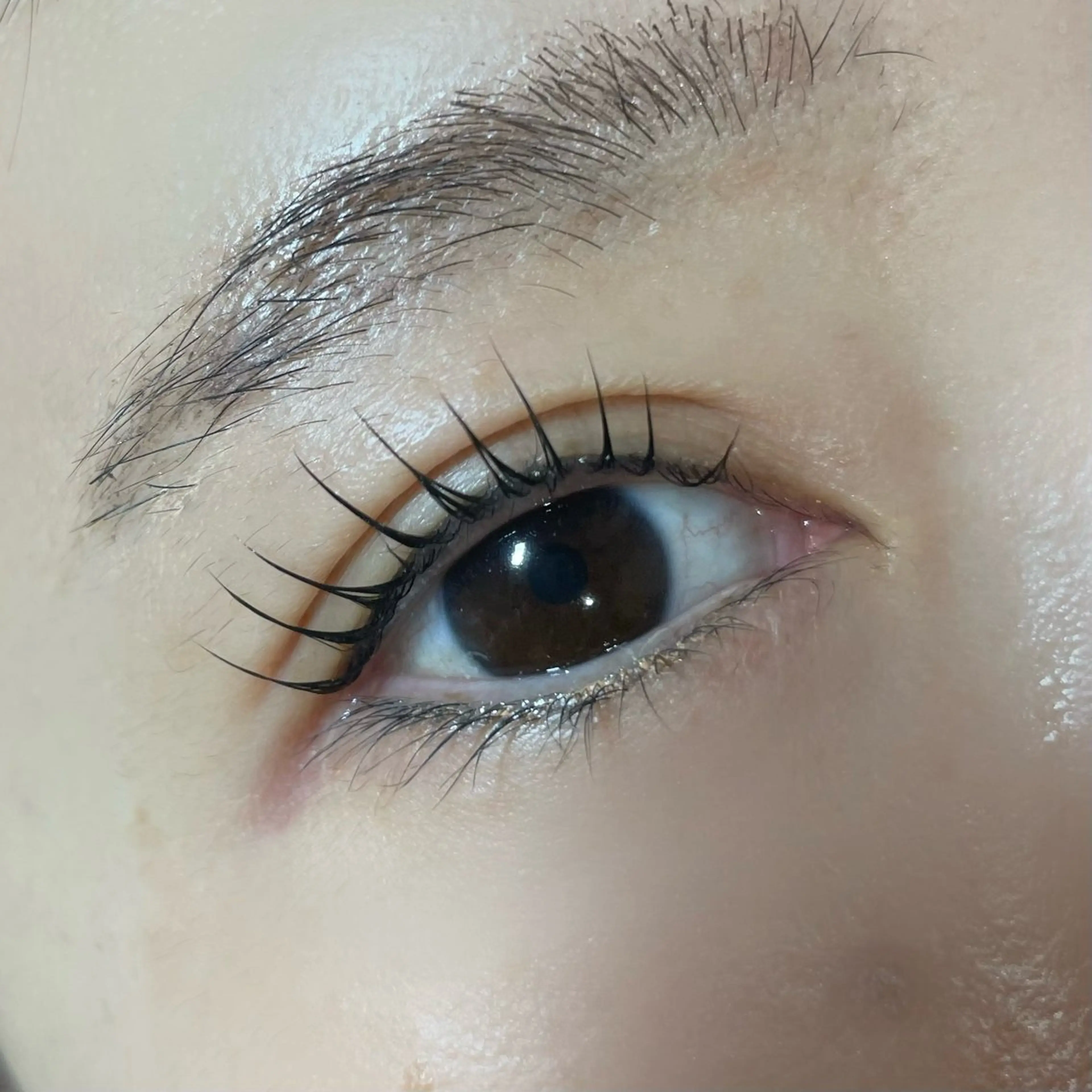 パリジェンヌラッシュリフト♡の写真