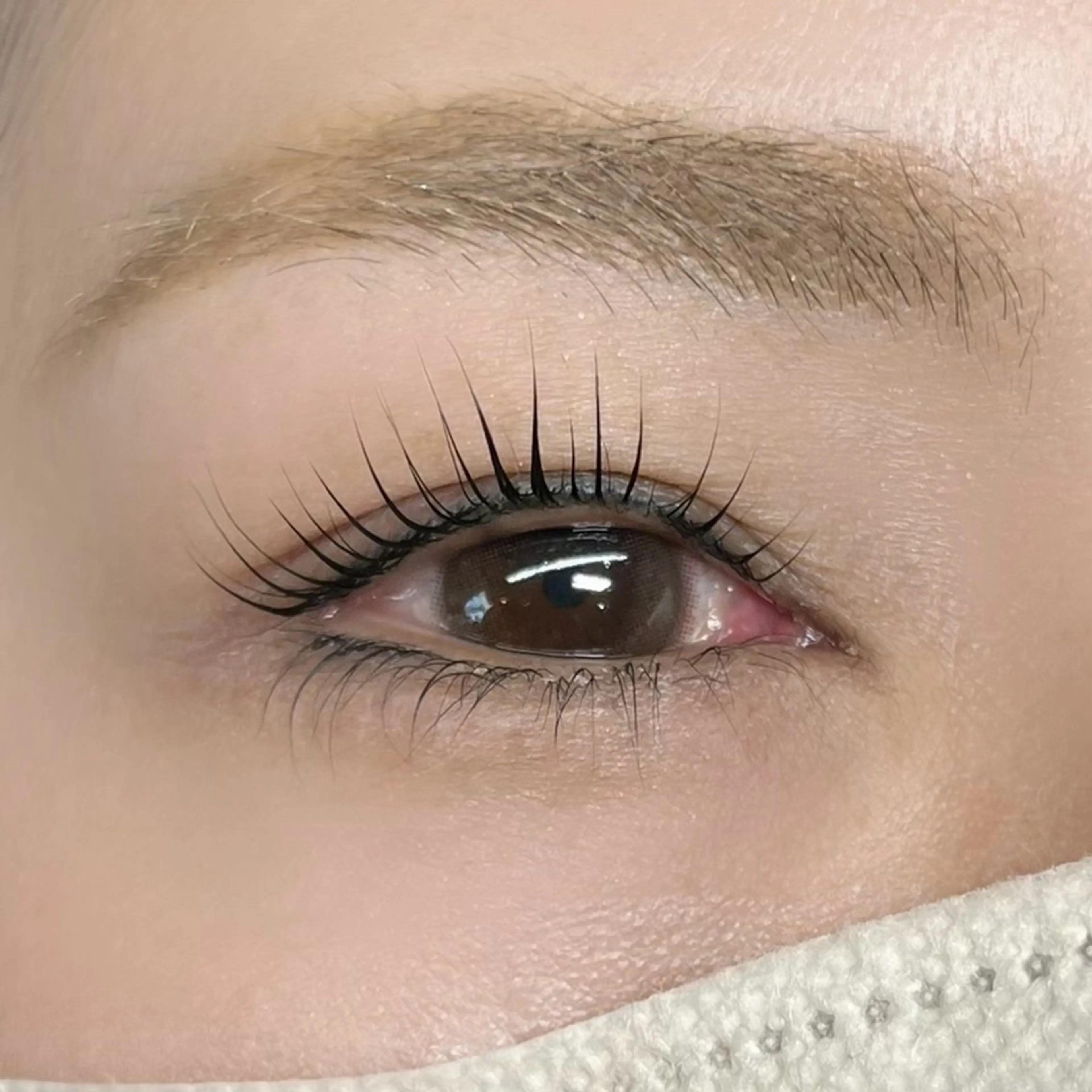 【話題のマスカラパーマ💄】まつ毛パーマ(上)＋Blackティント 通常¥6600→の写真