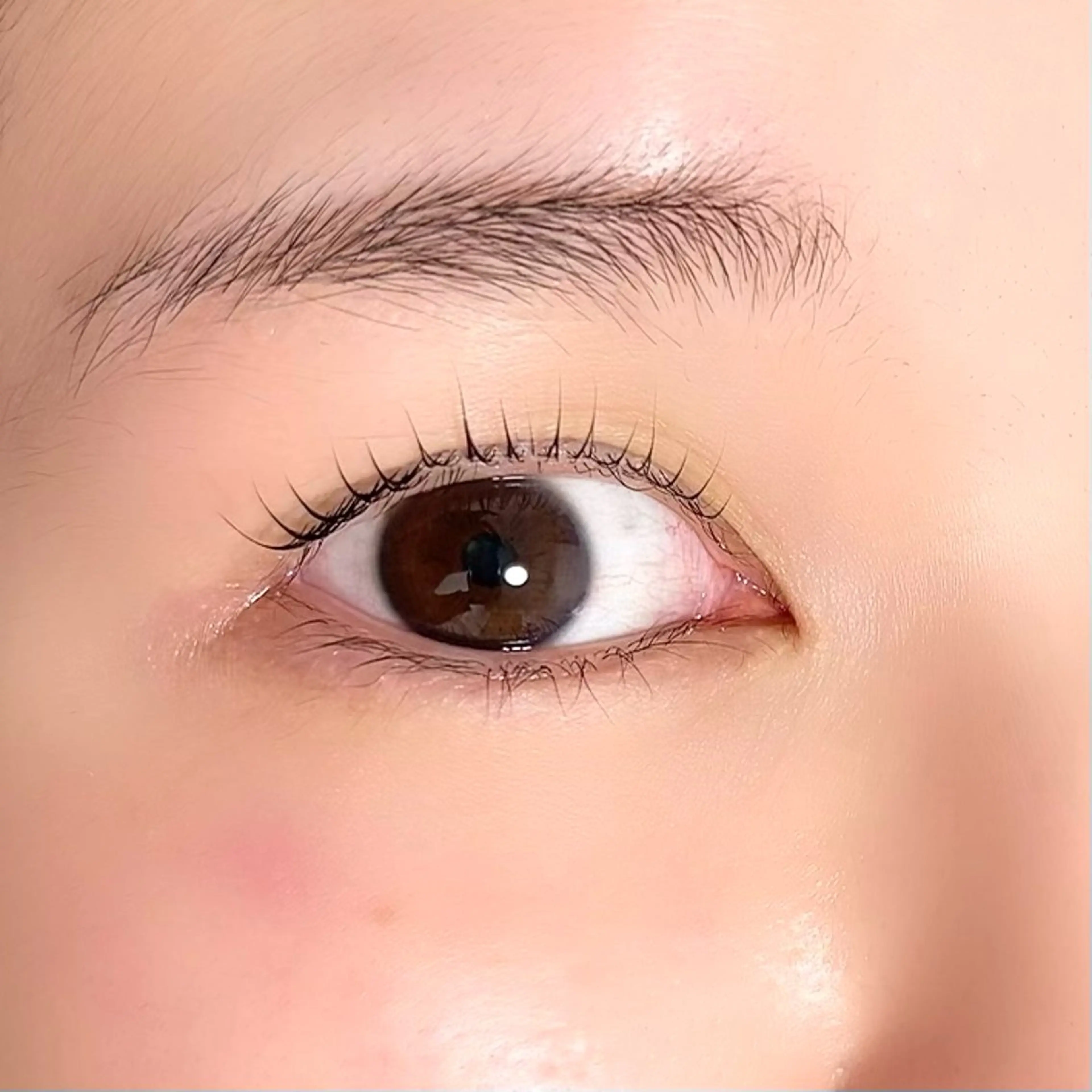 マツエク・マツパ champ瀬社家 加奈のマツエク・マツパデザイン