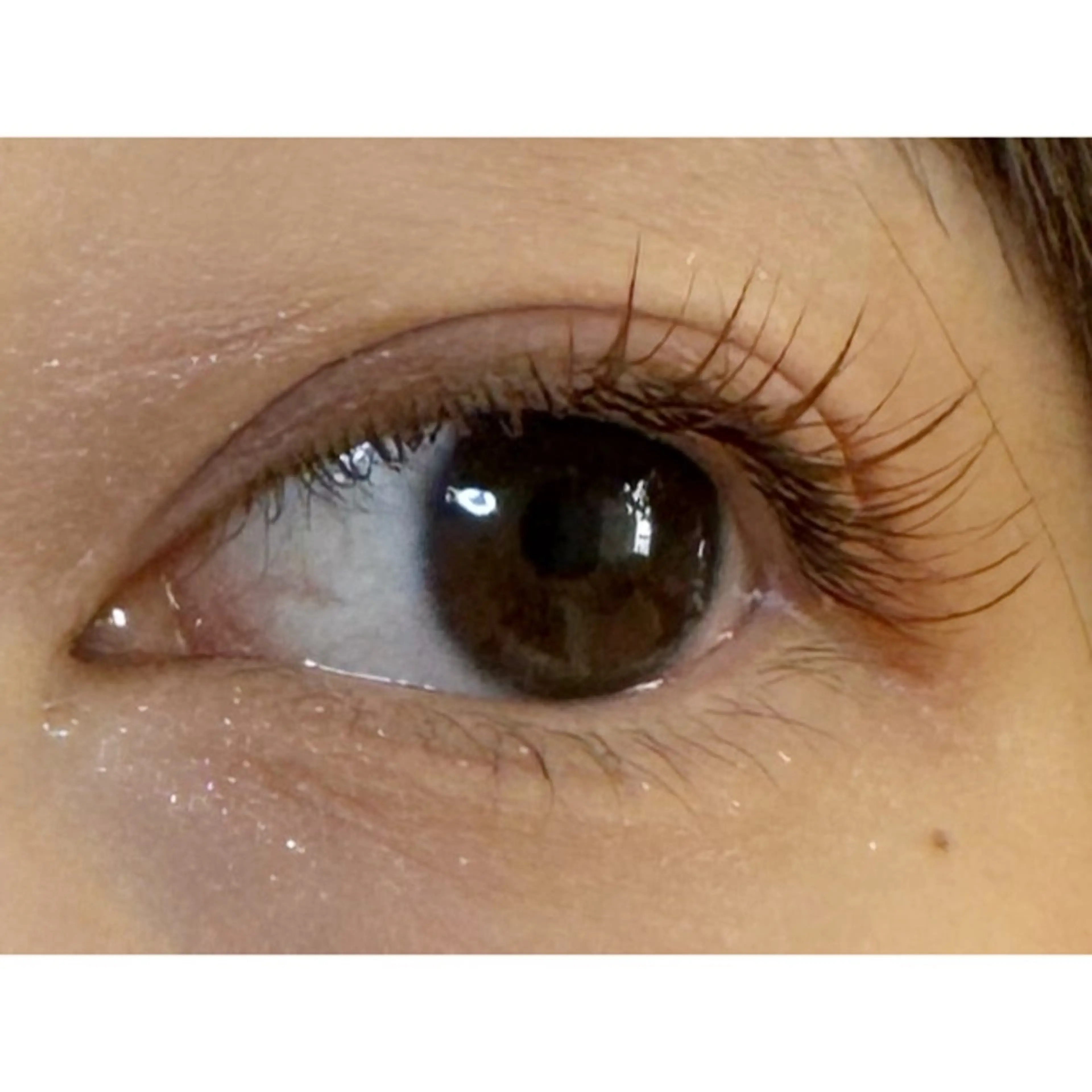 マツエク・マツパ マツエク Luz町田店 工藤の眉毛・アイブロウイメージ