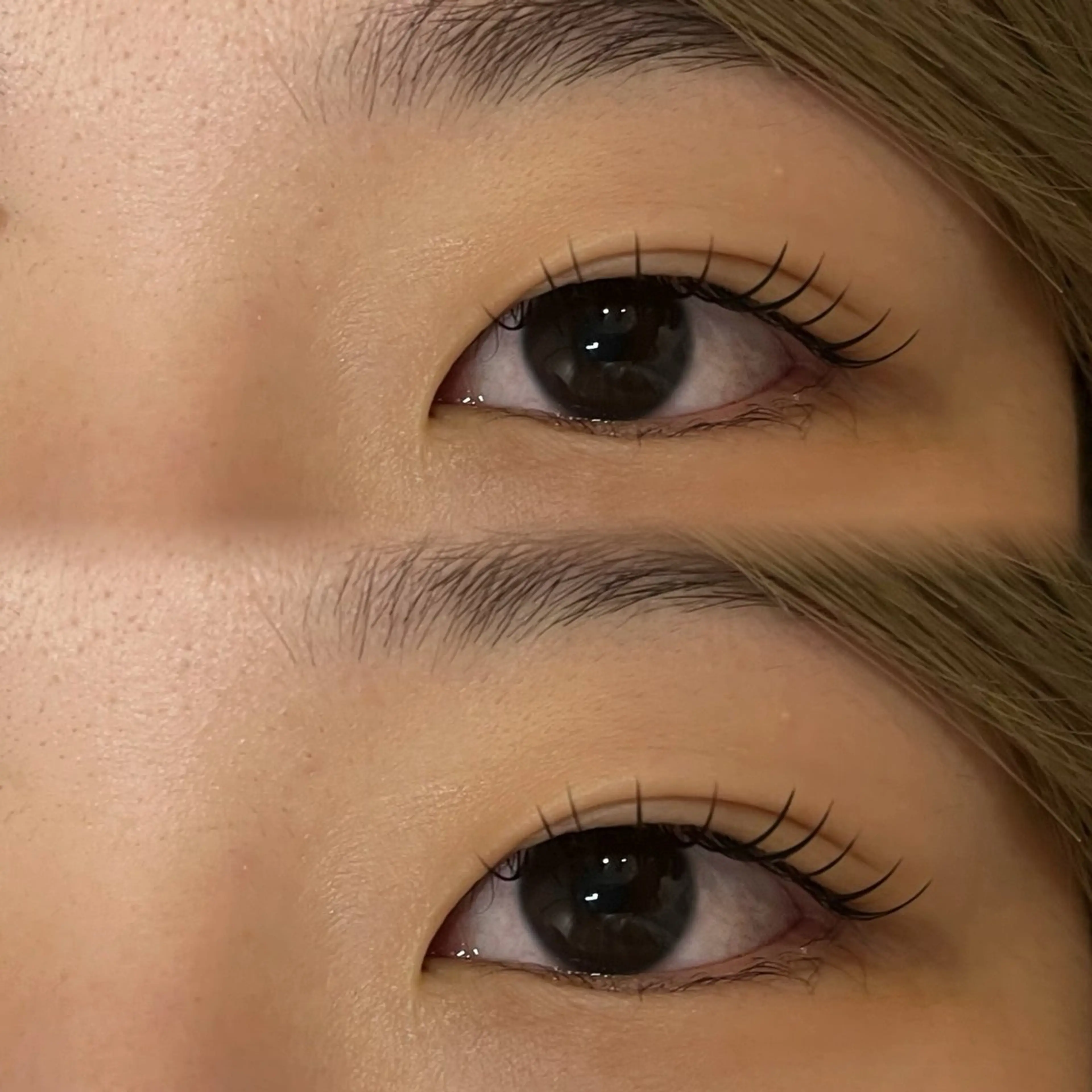 マツエク・マツパ Lupines🐱 SHIHORIのマツエク・マツパデザイン