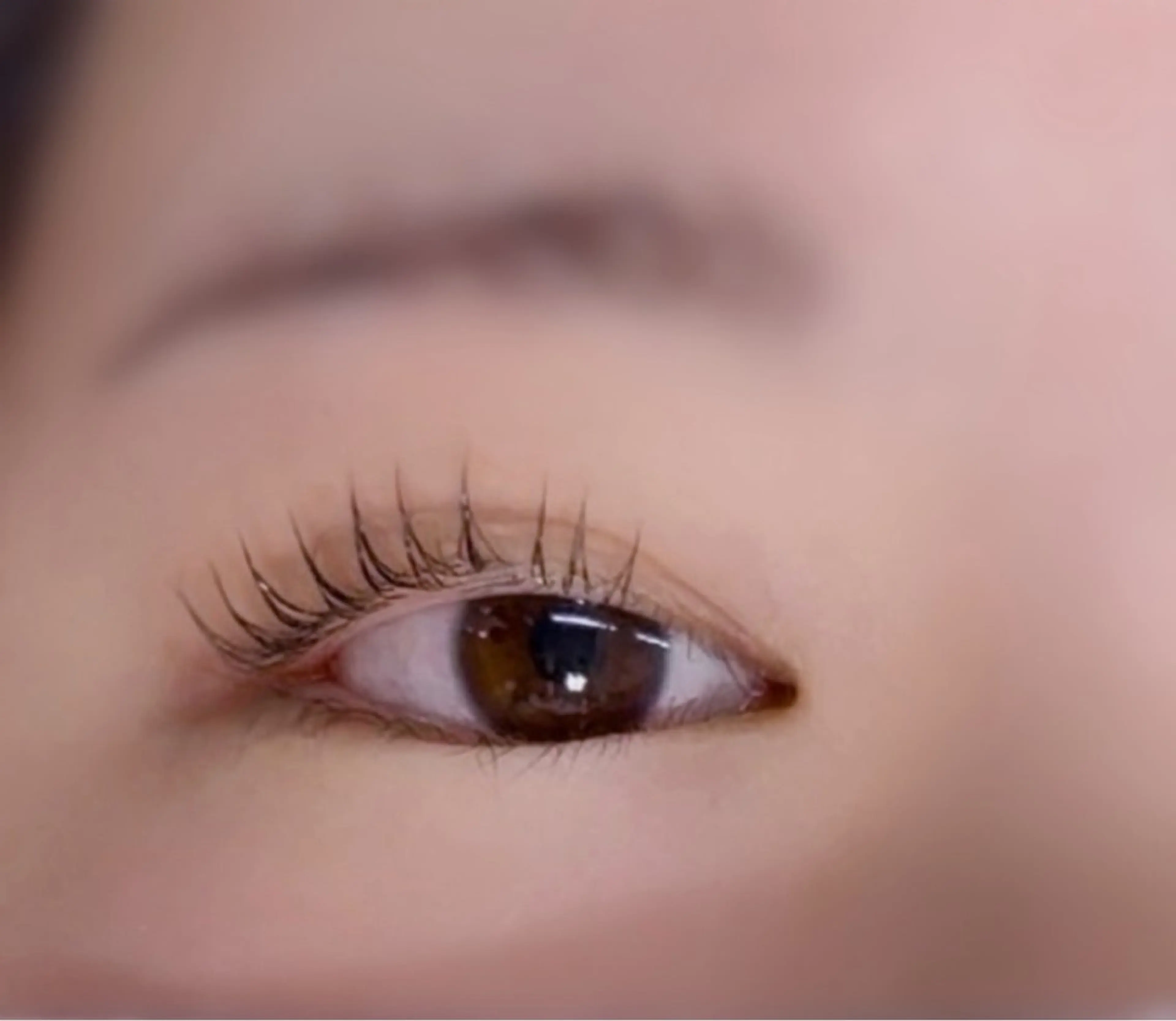 マツエク・マツパ rich  to 三田のマツエク・マツパデザイン